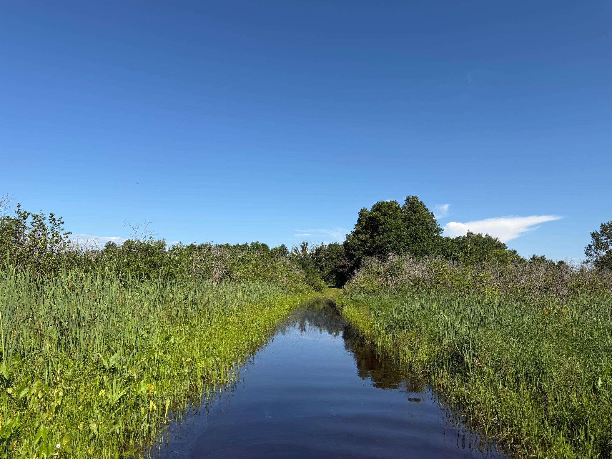 TBD 215th Avenue, Long Prairie MN 56347 - Photo 41 of 102