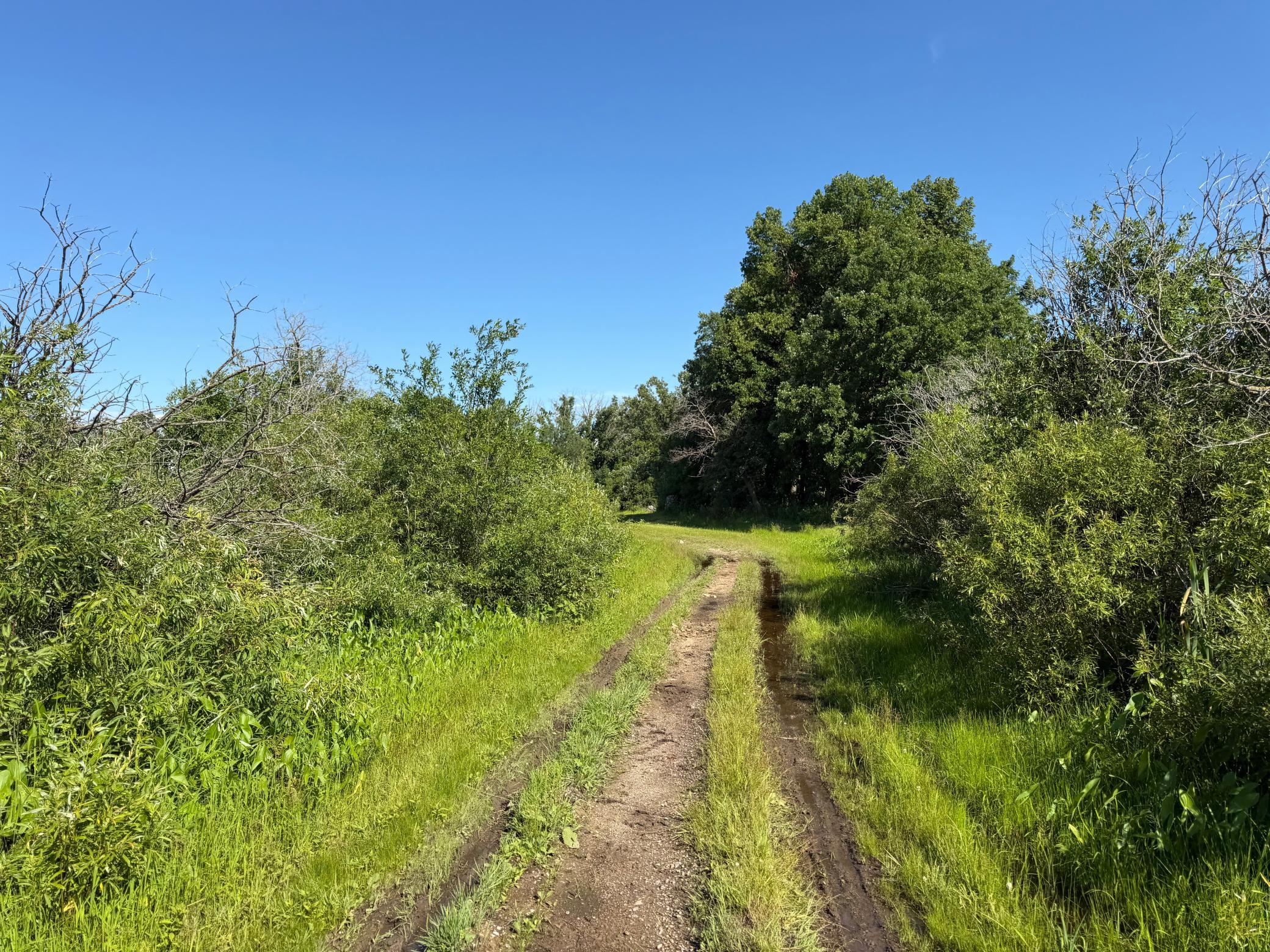 TBD 215th Avenue, Long Prairie MN 56347 - Photo 42 of 102