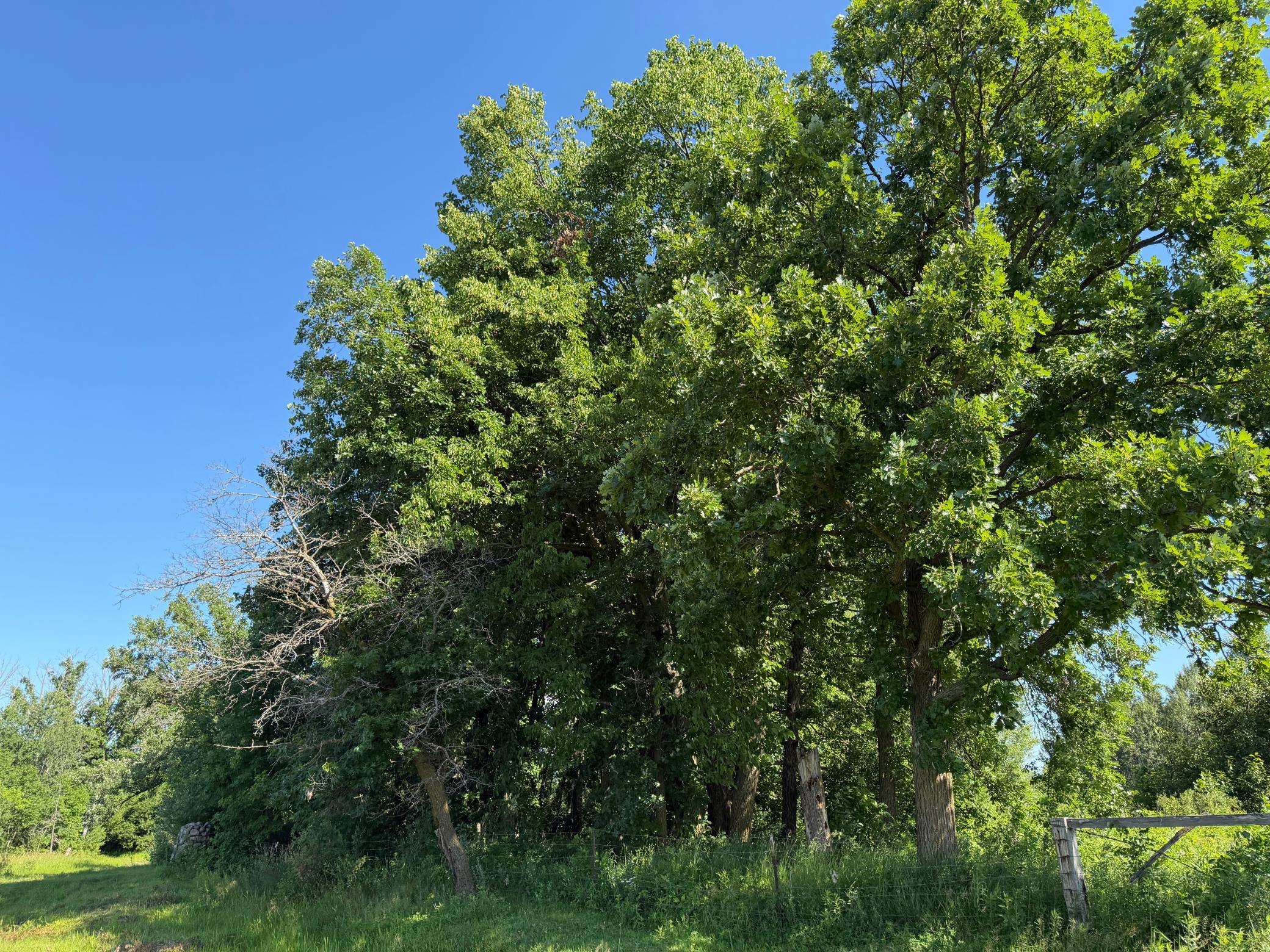 TBD 215th Avenue, Long Prairie MN 56347 - Photo 44 of 102