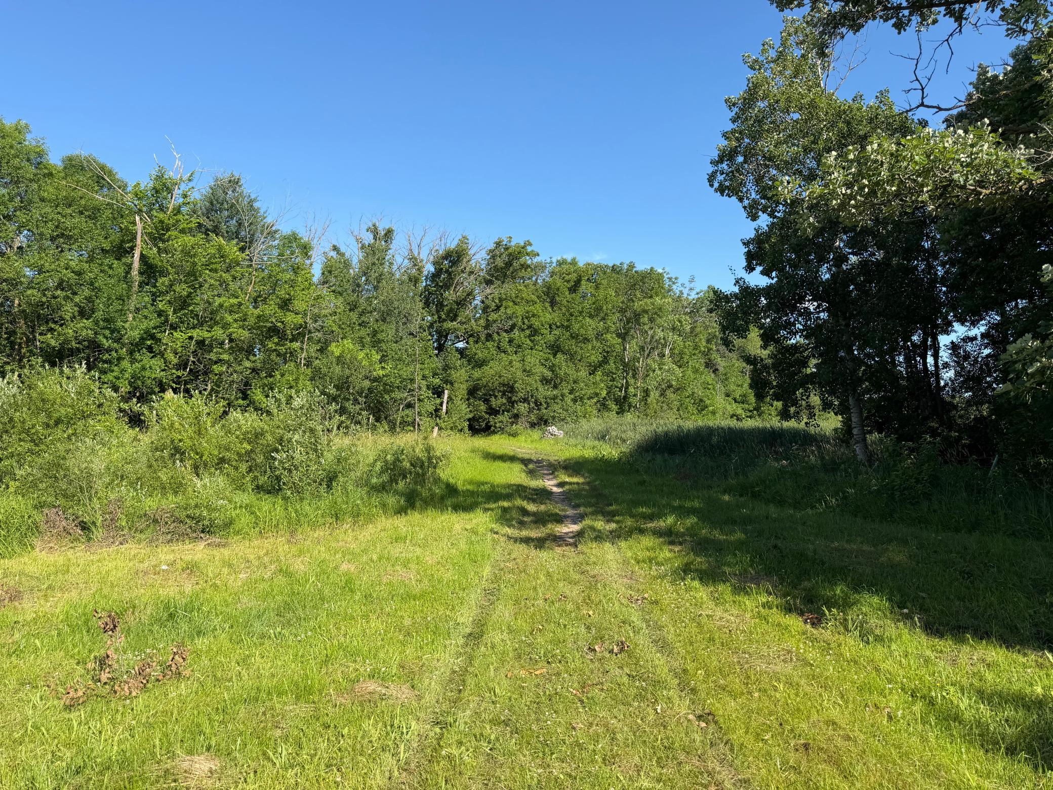 TBD 215th Avenue, Long Prairie MN 56347 - Photo 50 of 102