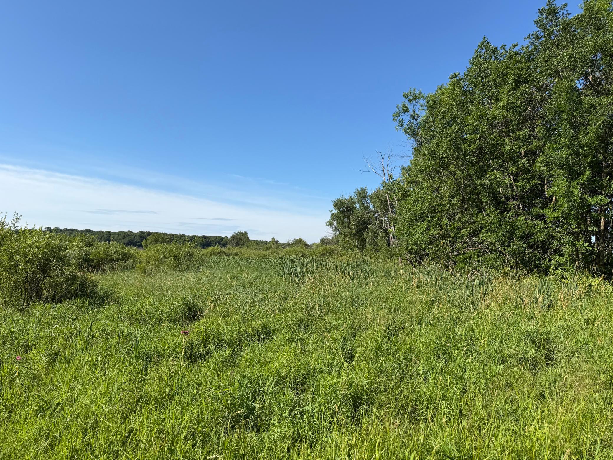 TBD 215th Avenue, Long Prairie MN 56347 - Photo 51 of 102