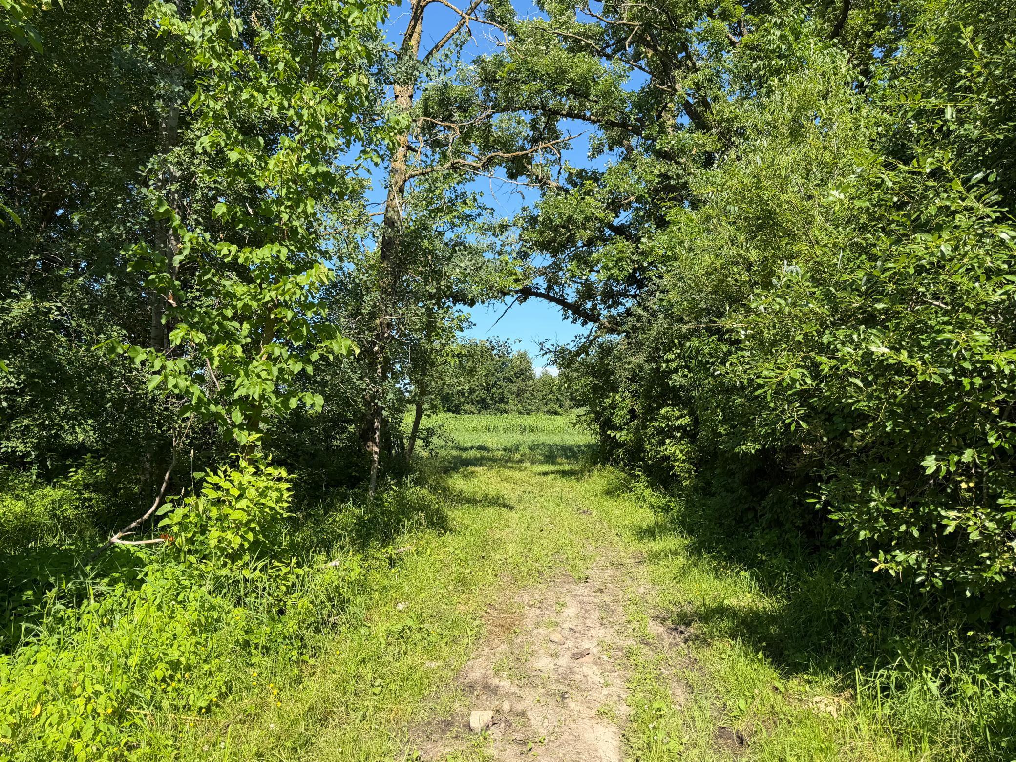 TBD 215th Avenue, Long Prairie MN 56347 - Photo 52 of 102