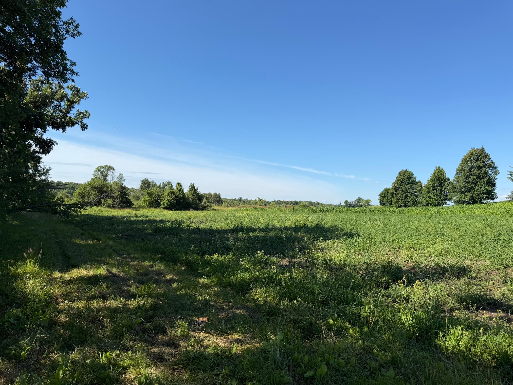 TBD 215th Avenue, Long Prairie MN 56347 - Photo 53 of 102