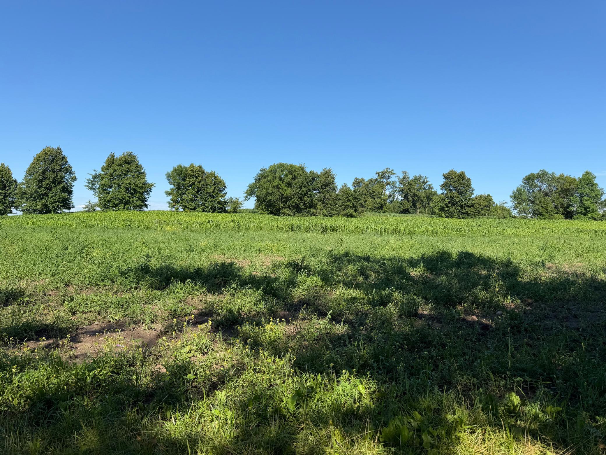 TBD 215th Avenue, Long Prairie MN 56347 - Photo 54 of 102