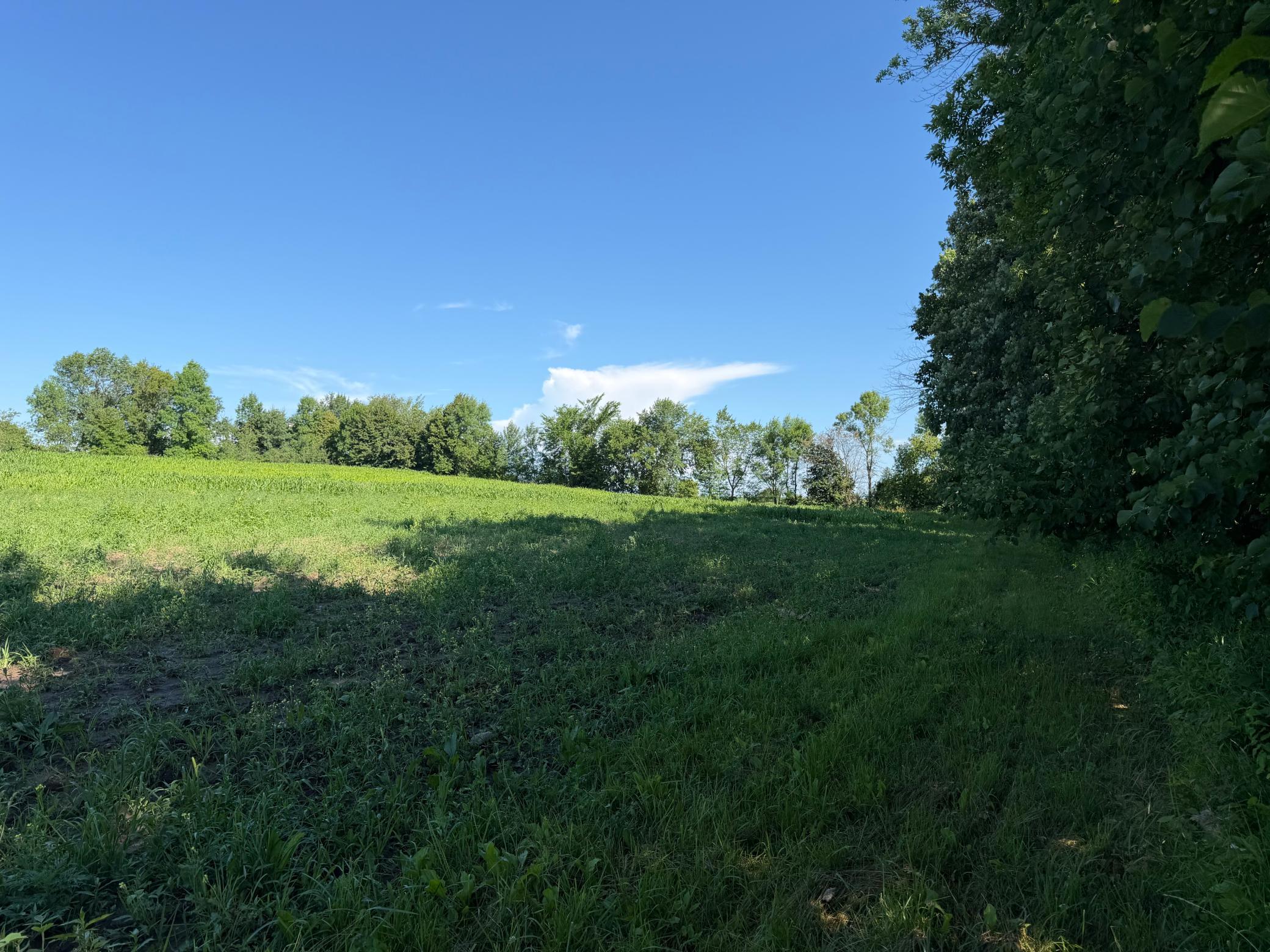 TBD 215th Avenue, Long Prairie MN 56347 - Photo 55 of 102
