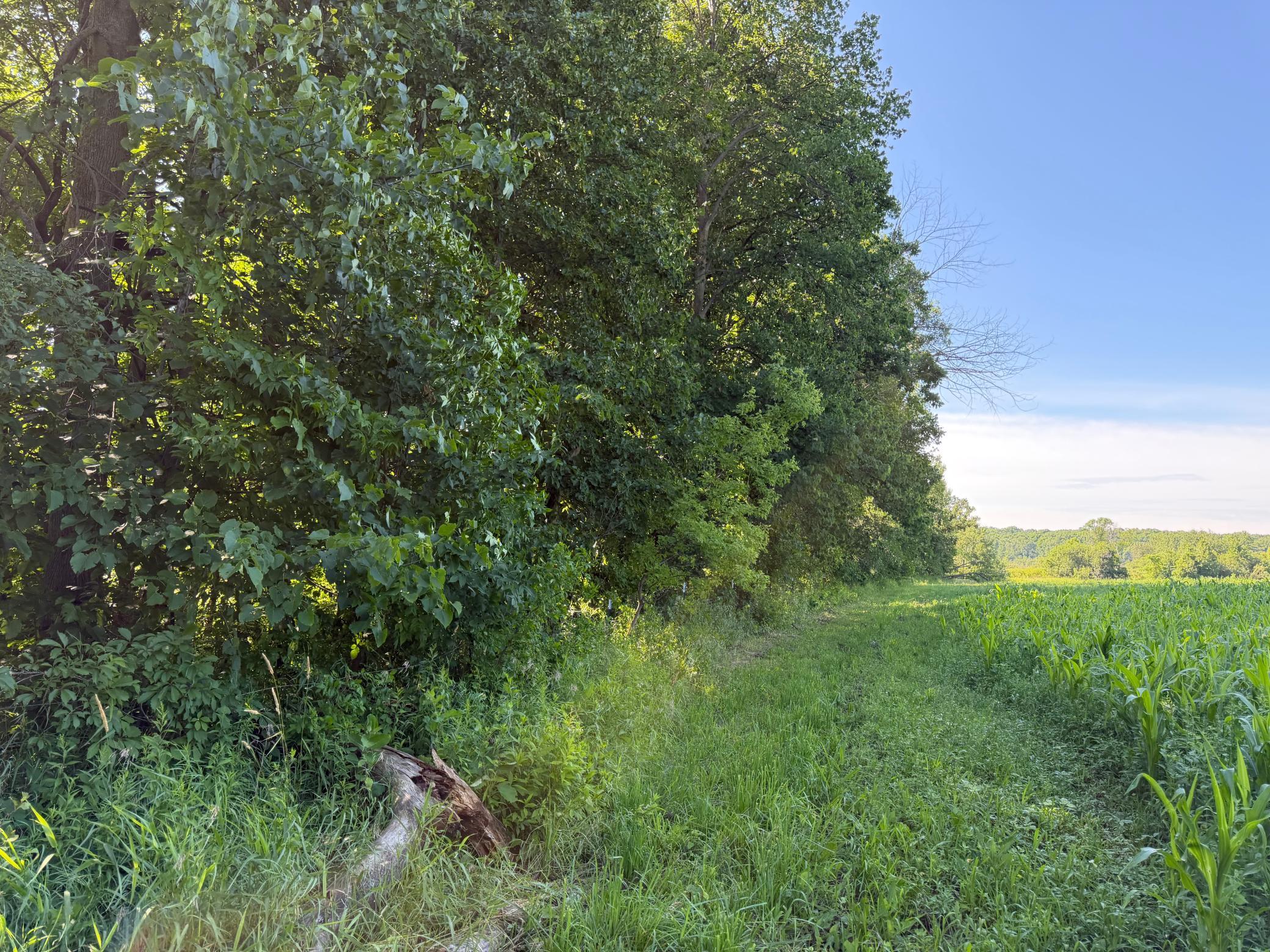 TBD 215th Avenue, Long Prairie MN 56347 - Photo 56 of 102