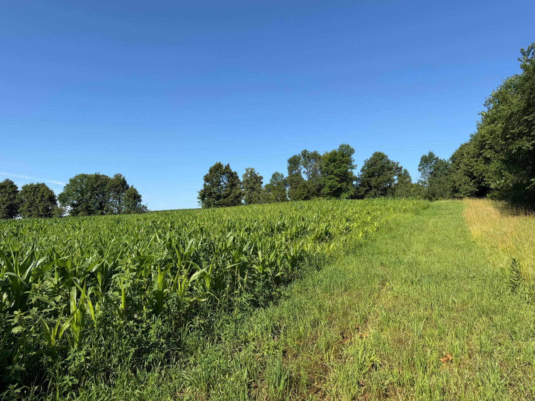 TBD 215th Avenue, Long Prairie MN 56347 - Photo 57 of 102