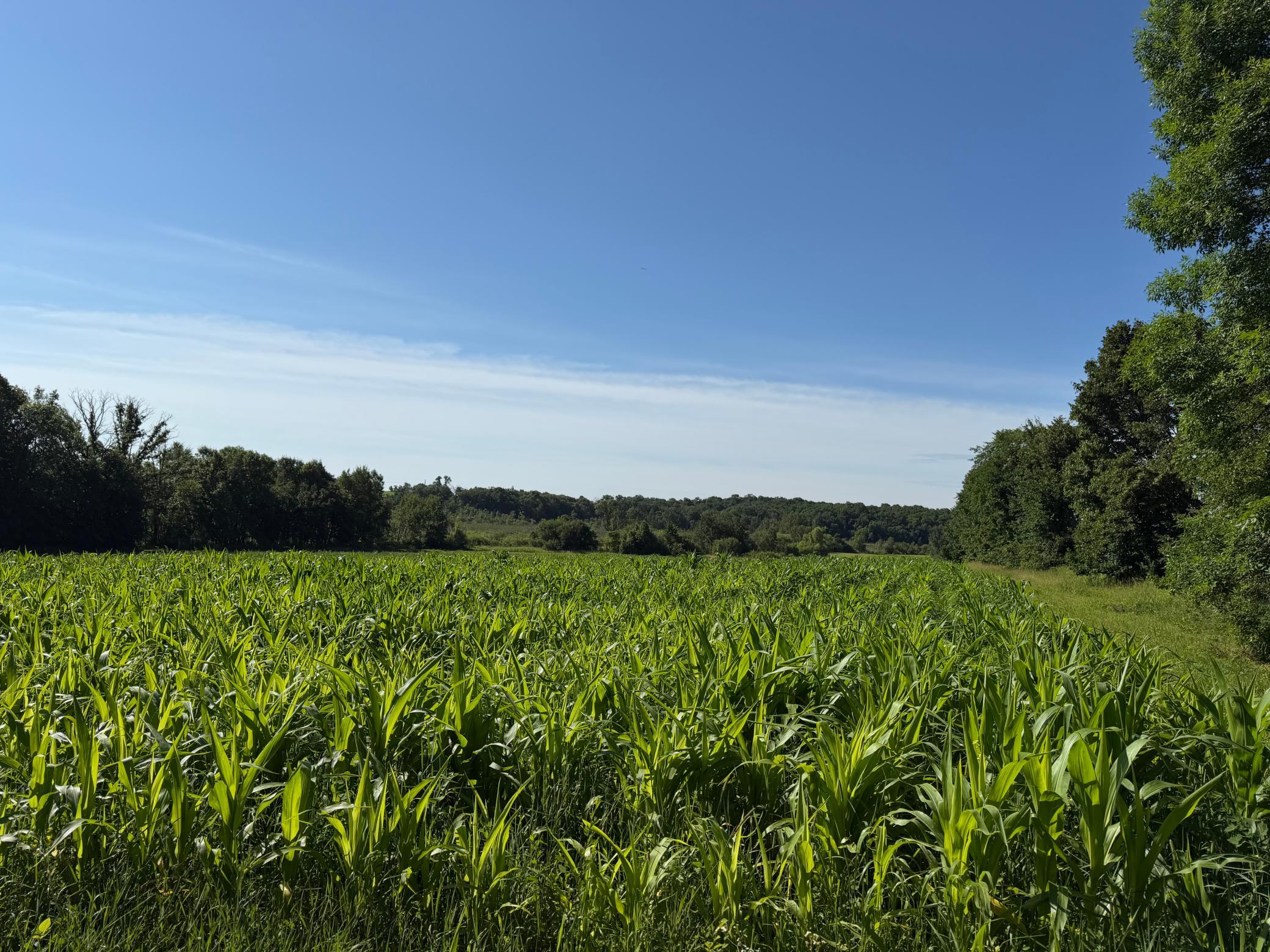 TBD 215th Avenue, Long Prairie MN 56347 - Photo 58 of 102