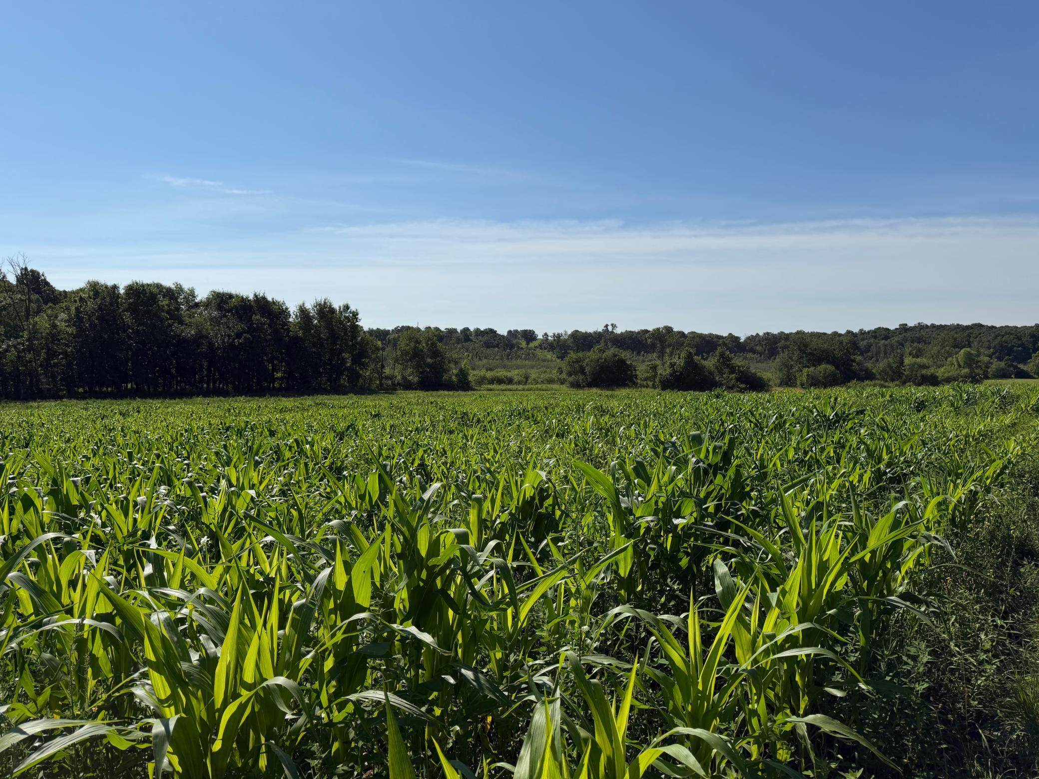 TBD 215th Avenue, Long Prairie MN 56347 - Photo 61 of 102