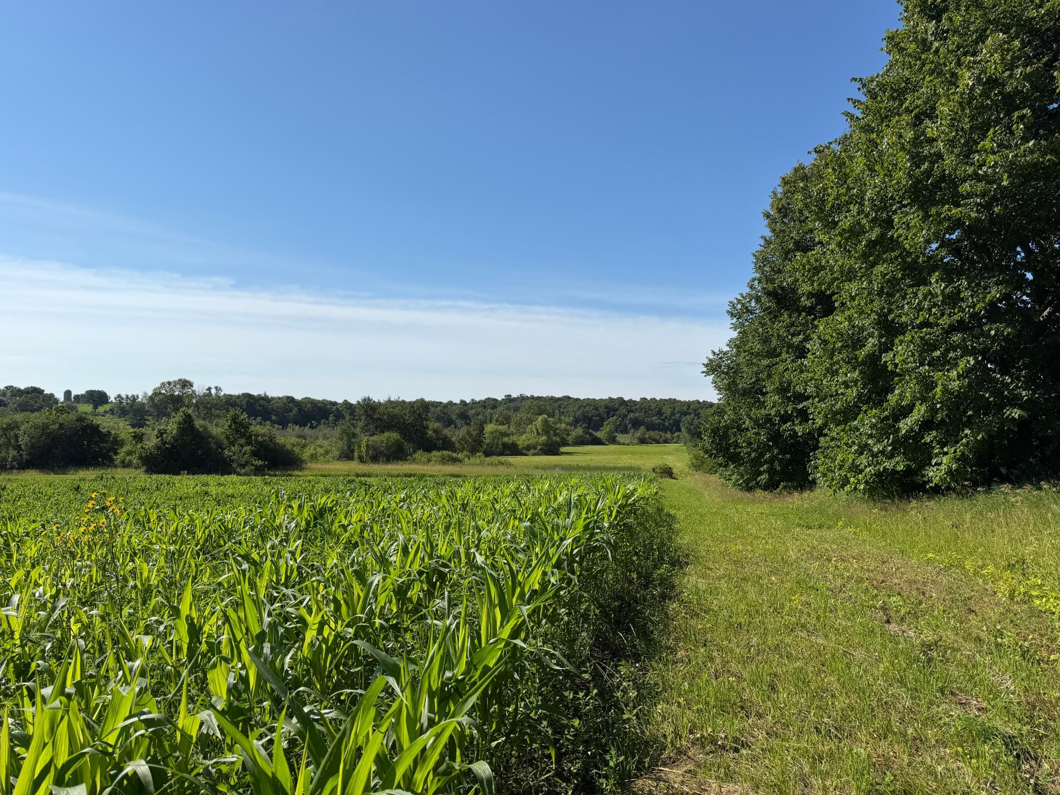 TBD 215th Avenue, Long Prairie MN 56347 - Photo 62 of 102