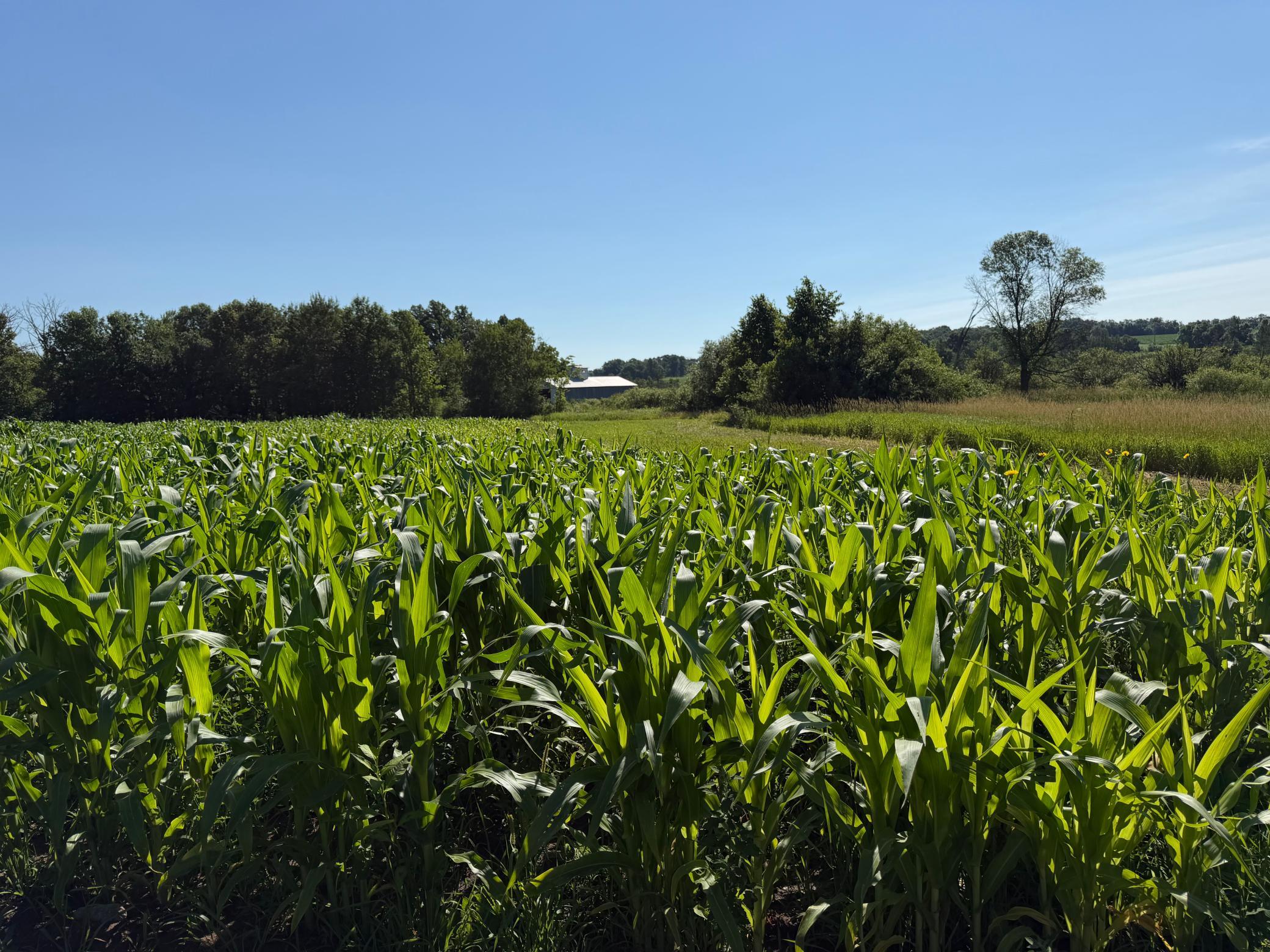 TBD 215th Avenue, Long Prairie MN 56347 - Photo 64 of 102