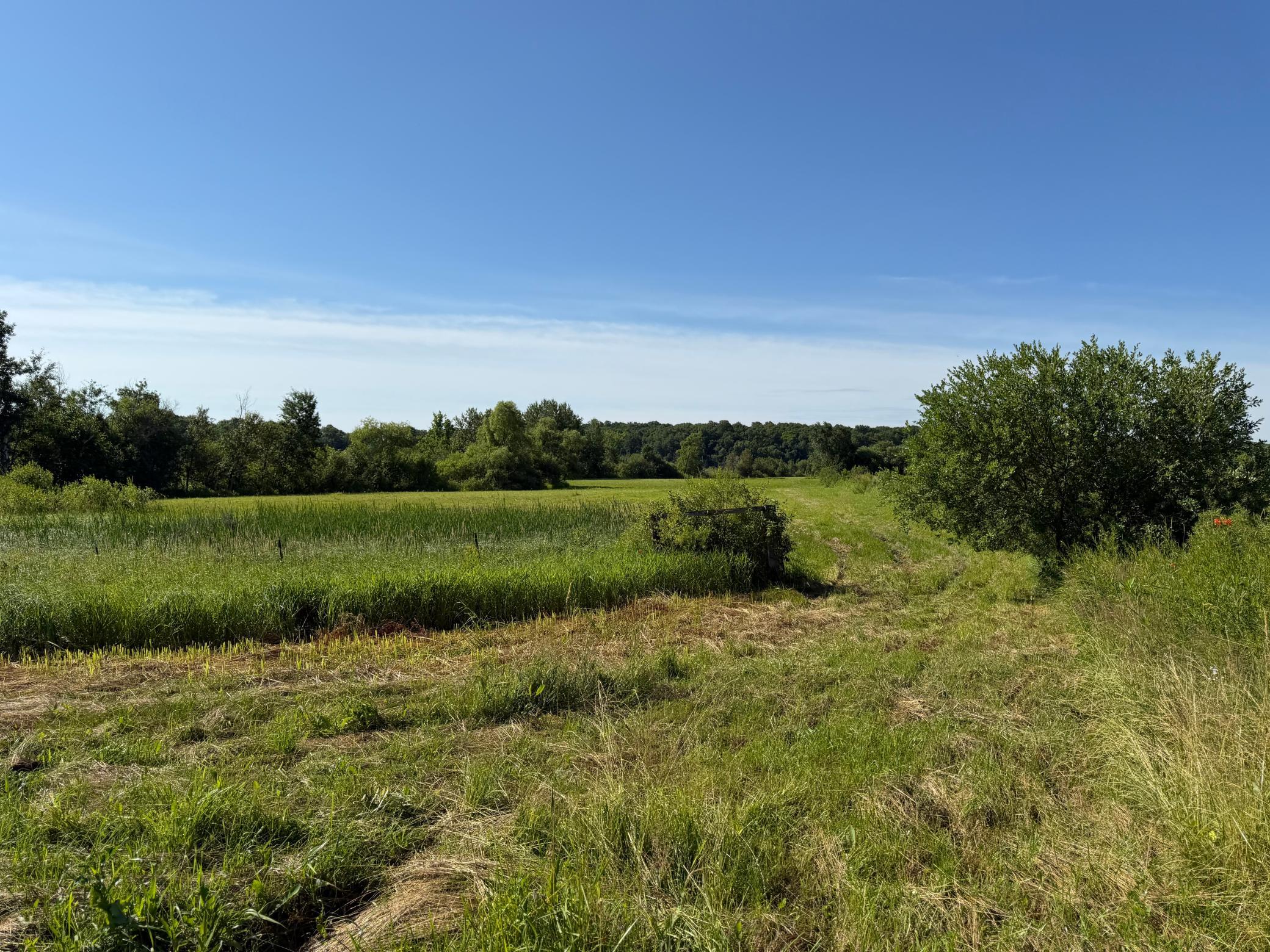 TBD 215th Avenue, Long Prairie MN 56347 - Photo 65 of 102