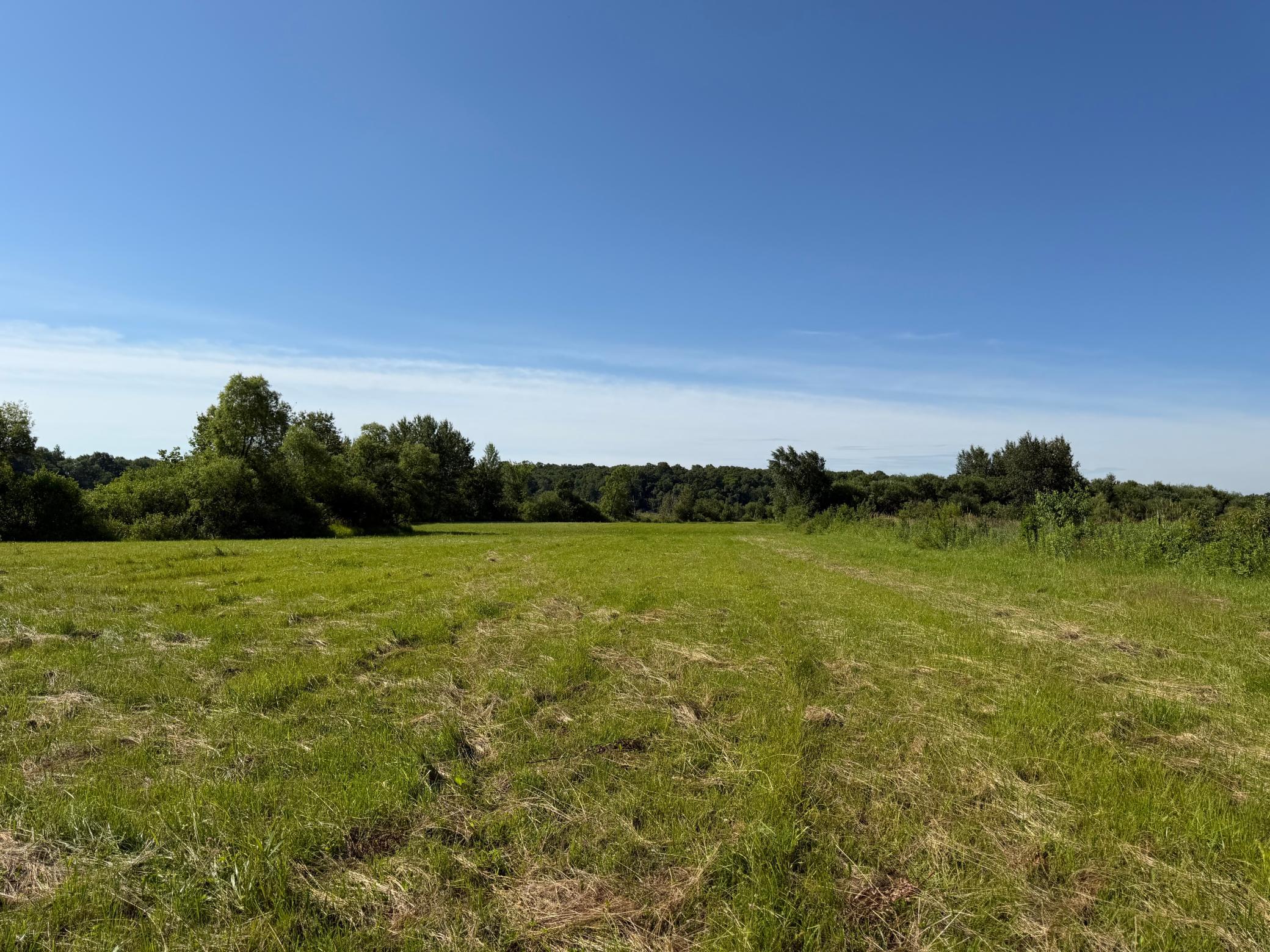 TBD 215th Avenue, Long Prairie MN 56347 - Photo 66 of 102