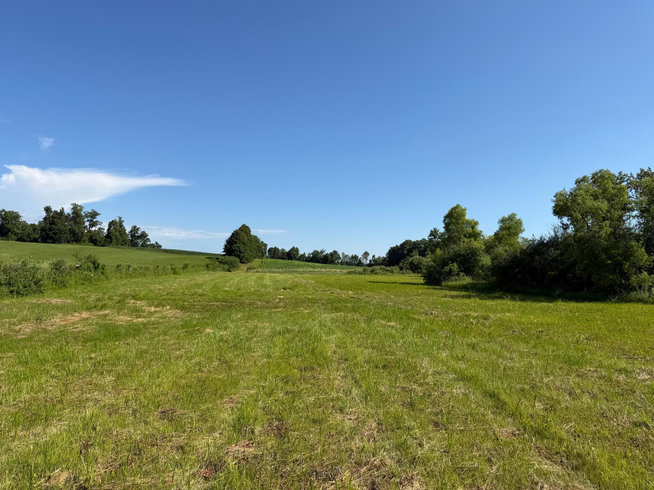 TBD 215th Avenue, Long Prairie MN 56347 - Photo 69 of 102