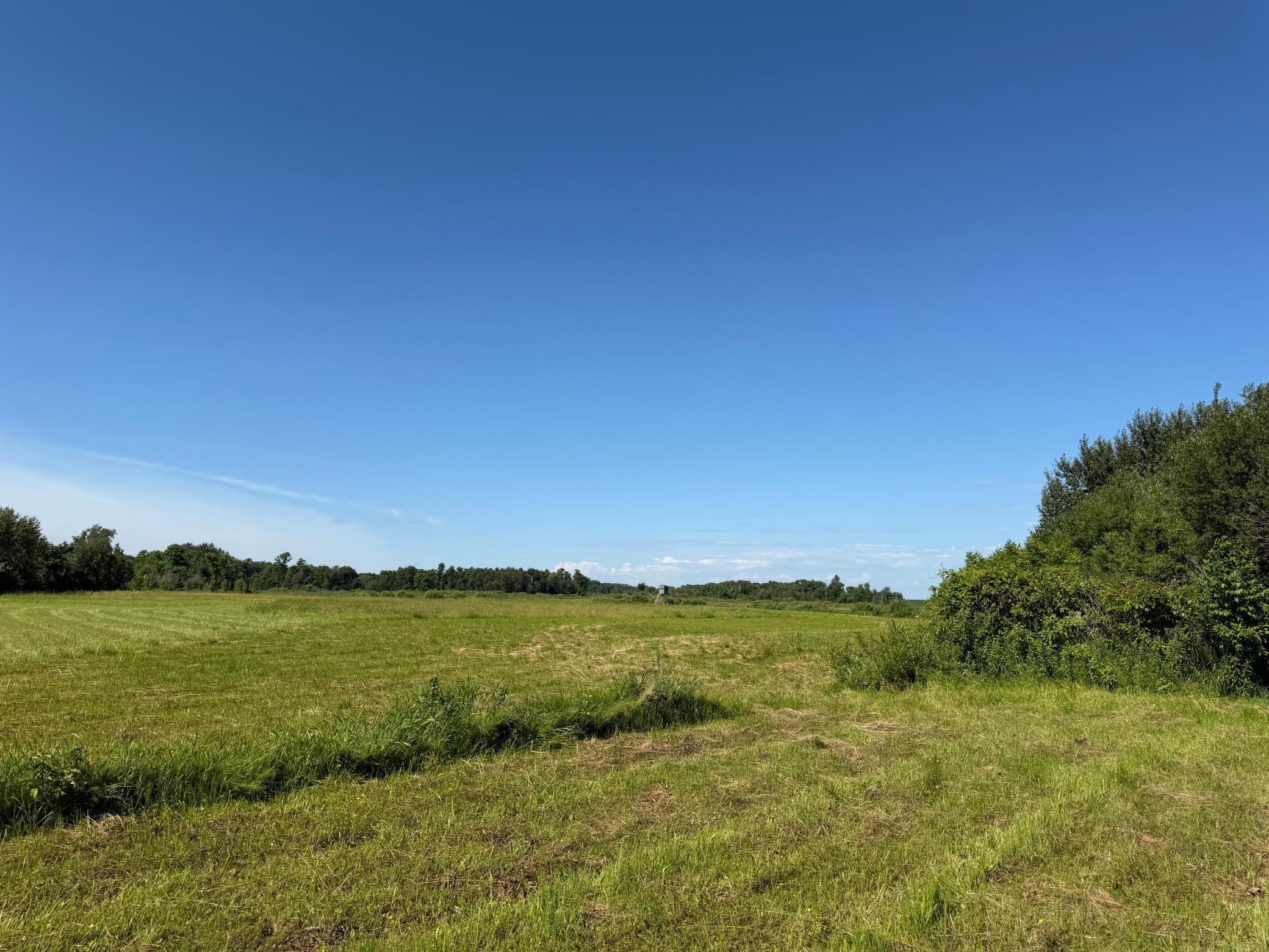 TBD 215th Avenue, Long Prairie MN 56347 - Photo 71 of 102