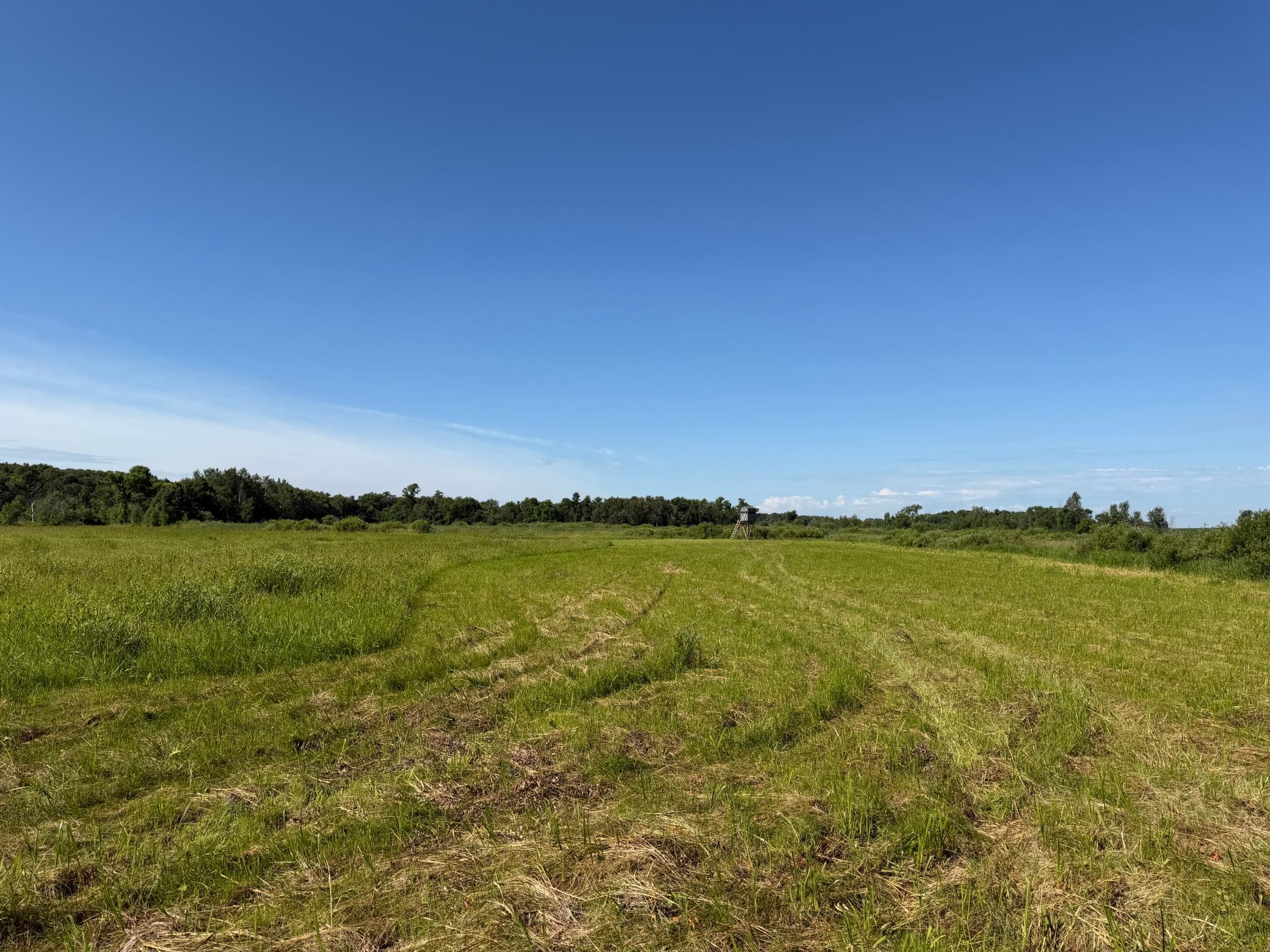 TBD 215th Avenue, Long Prairie MN 56347 - Photo 73 of 102