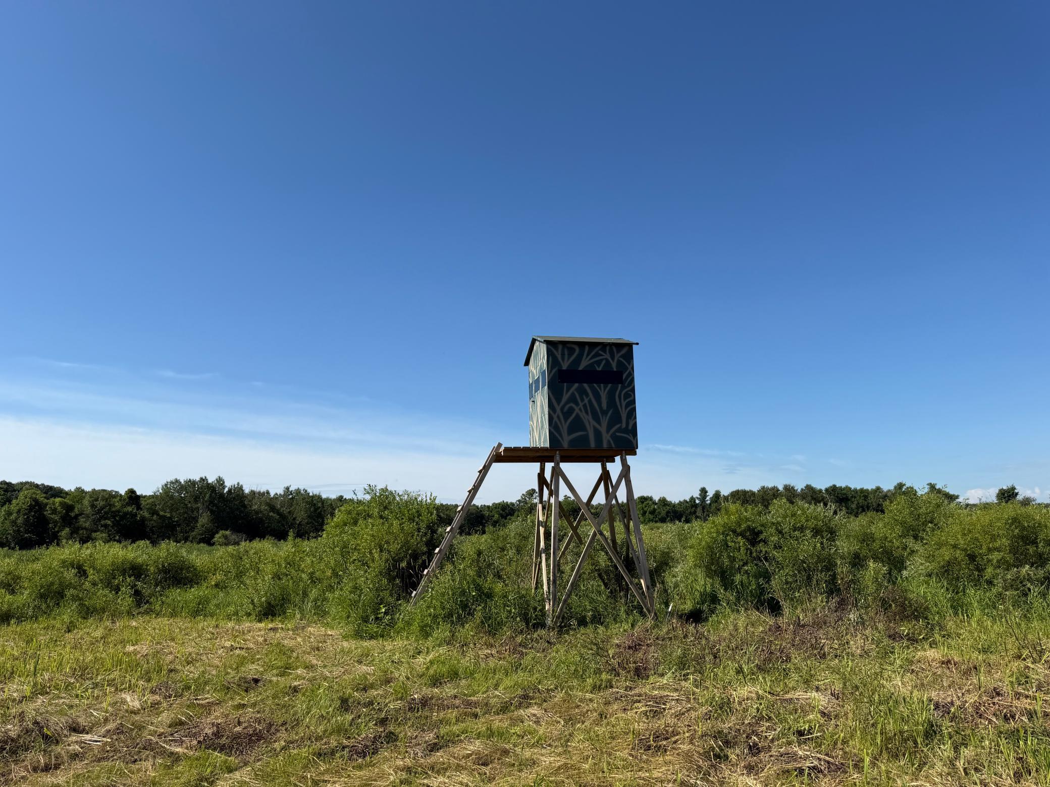 TBD 215th Avenue, Long Prairie MN 56347 - Photo 75 of 102