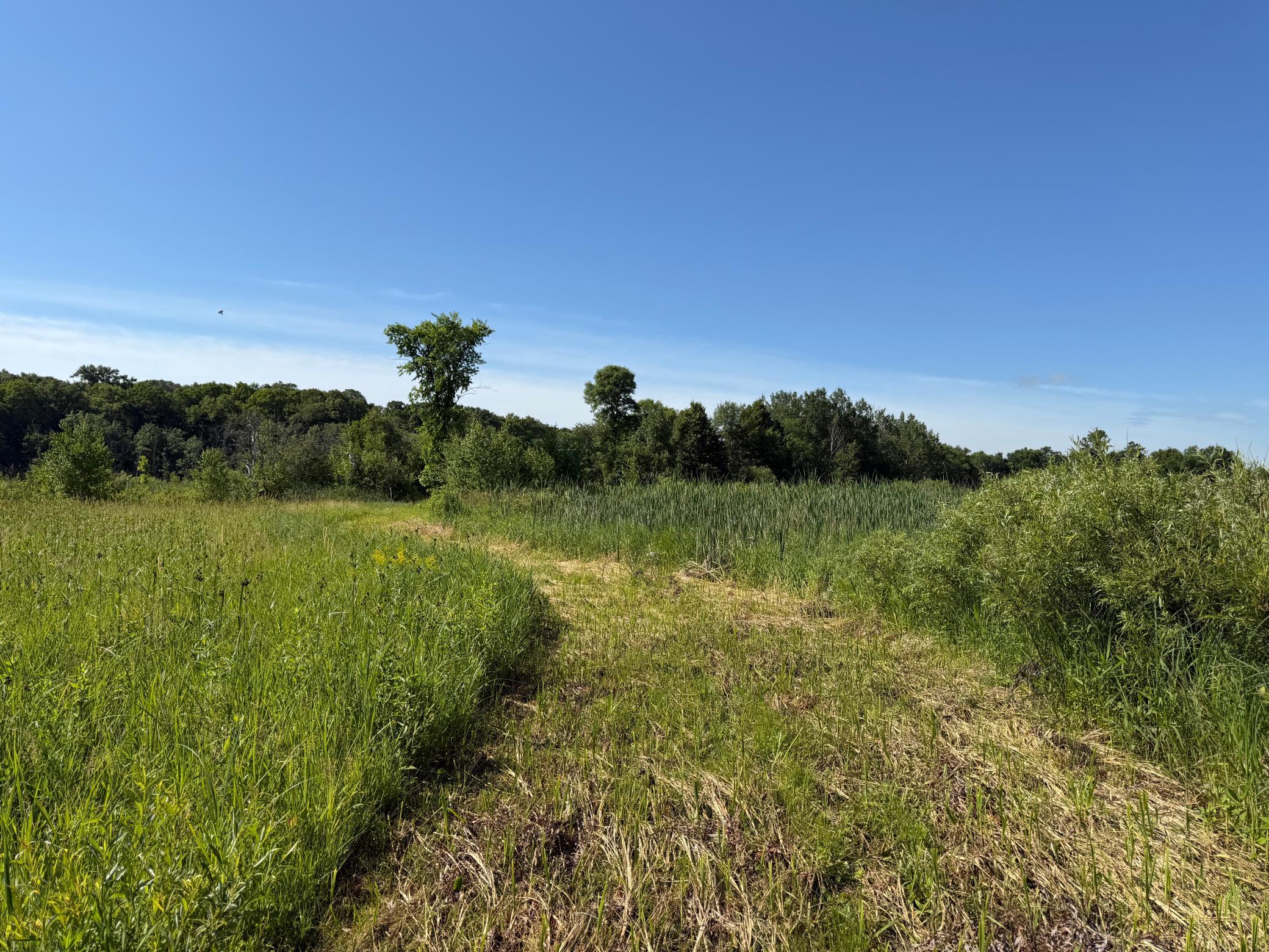 TBD 215th Avenue, Long Prairie MN 56347 - Photo 78 of 102