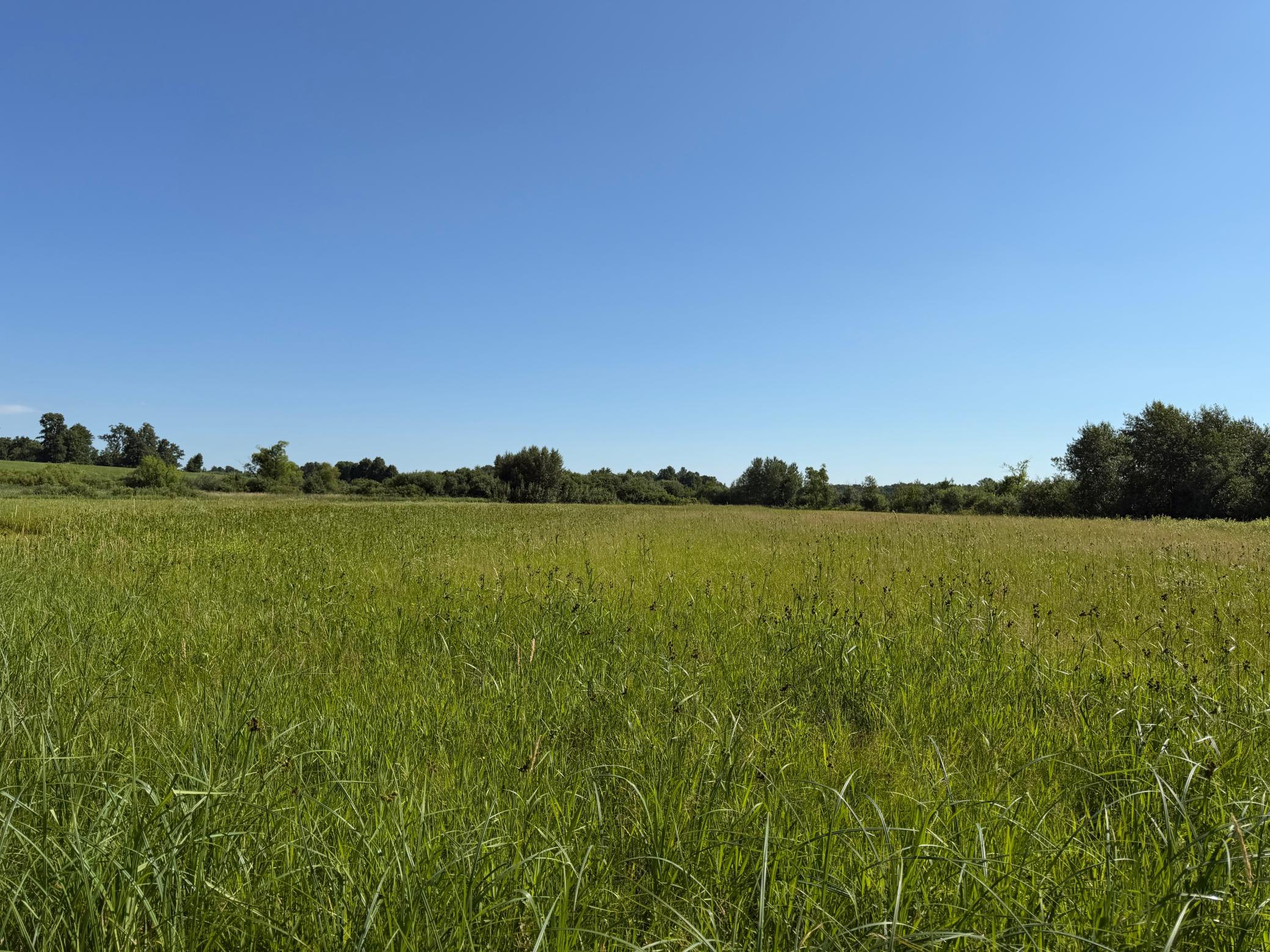TBD 215th Avenue, Long Prairie MN 56347 - Photo 79 of 102