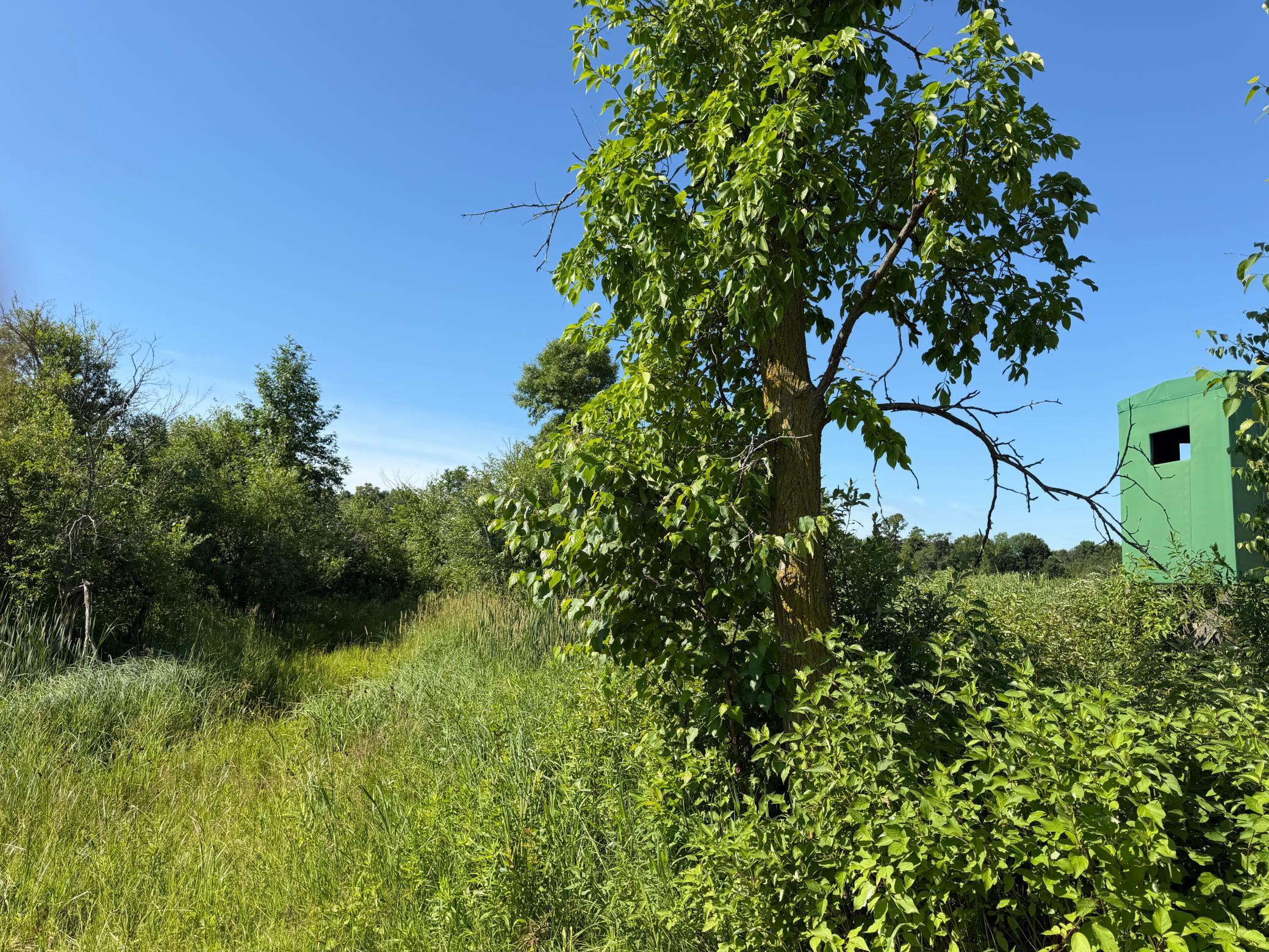 TBD 215th Avenue, Long Prairie MN 56347 - Photo 80 of 102