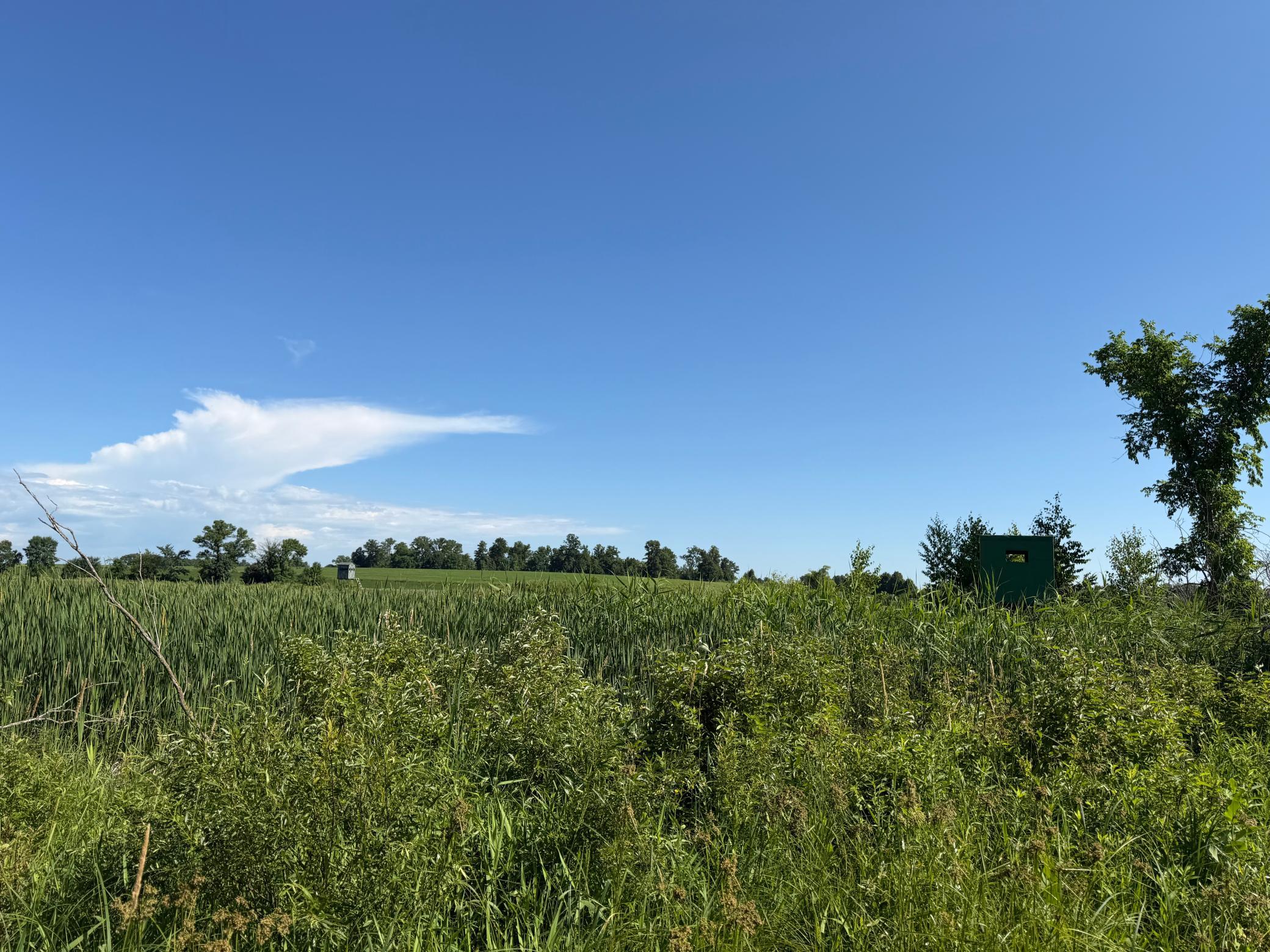 TBD 215th Avenue, Long Prairie MN 56347 - Photo 81 of 102