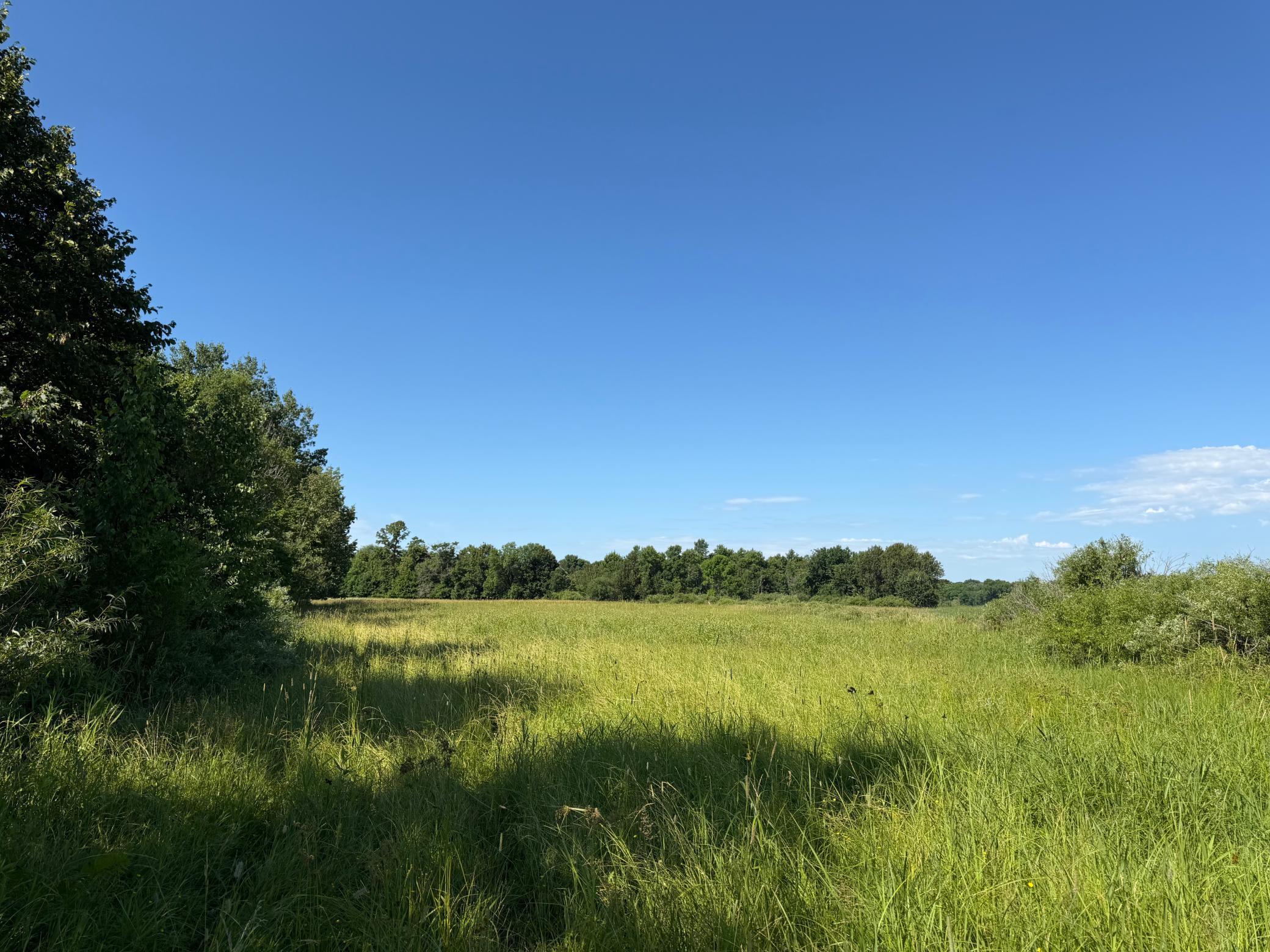 TBD 215th Avenue, Long Prairie MN 56347 - Photo 82 of 102