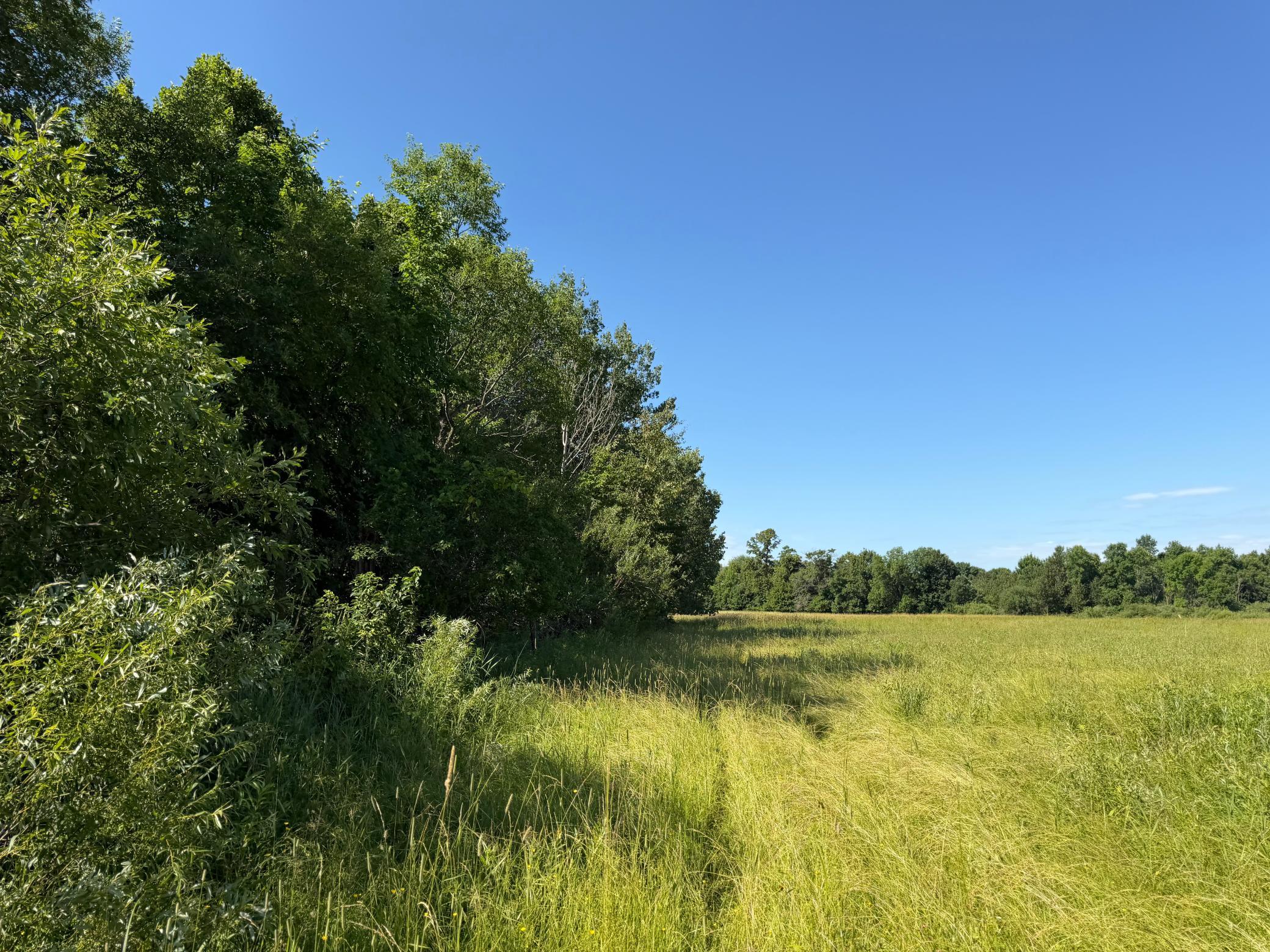 TBD 215th Avenue, Long Prairie MN 56347 - Photo 83 of 102