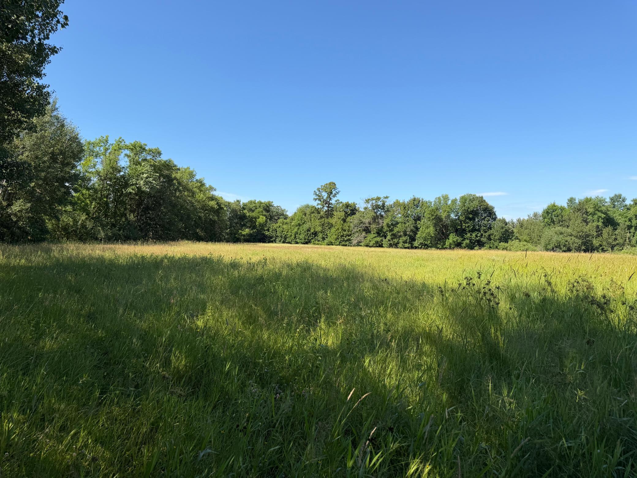 TBD 215th Avenue, Long Prairie MN 56347 - Photo 84 of 102