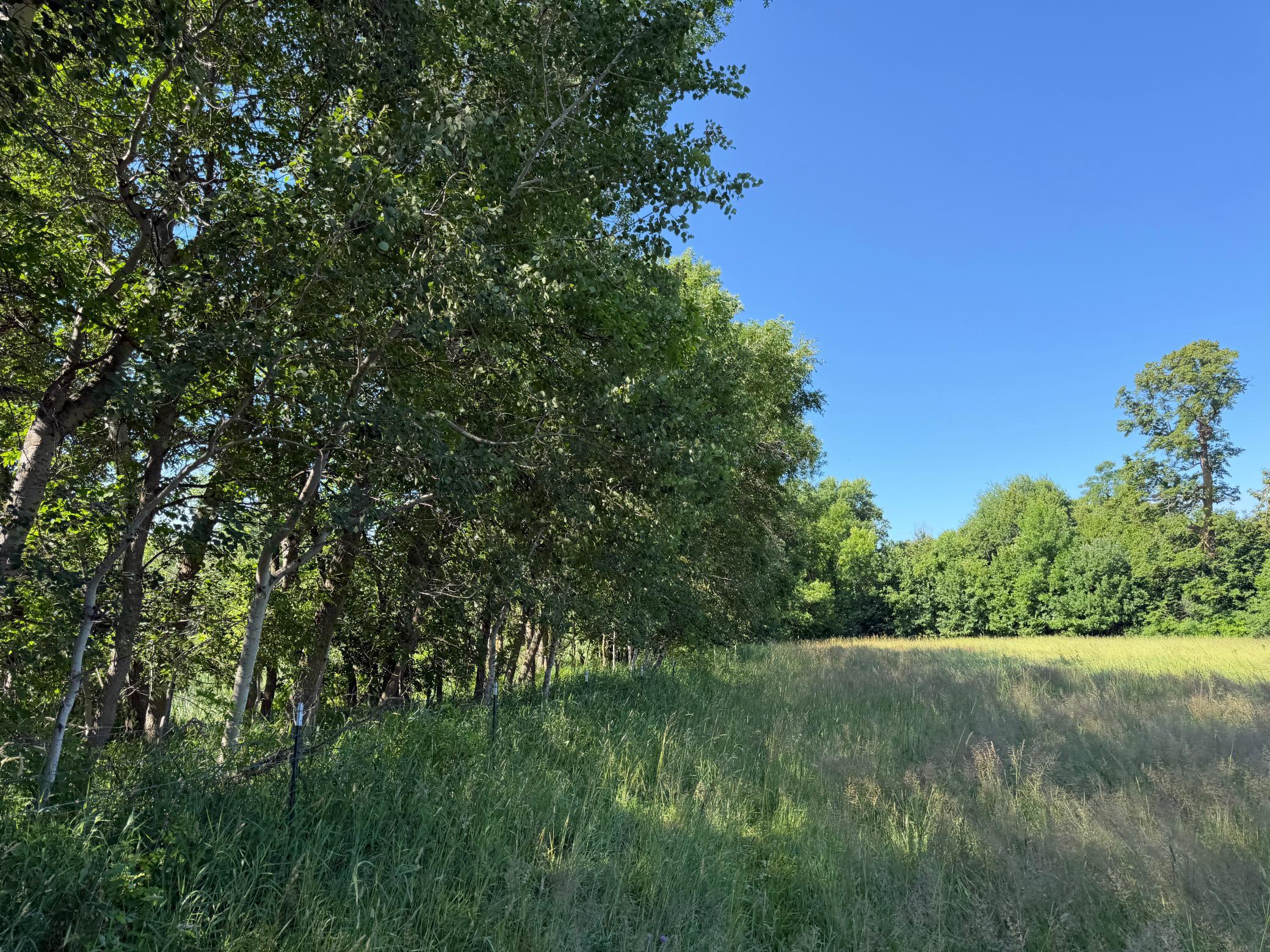 TBD 215th Avenue, Long Prairie MN 56347 - Photo 85 of 102