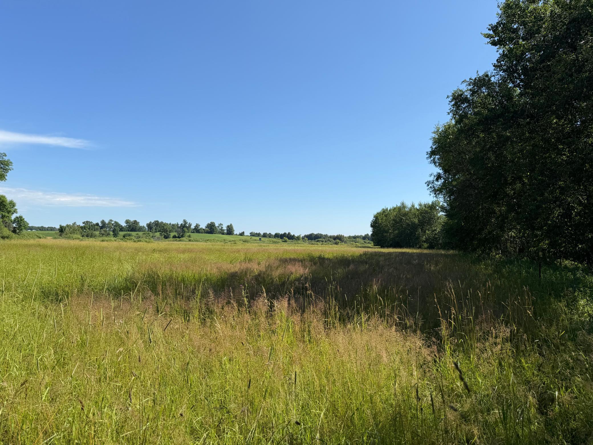 TBD 215th Avenue, Long Prairie MN 56347 - Photo 86 of 102