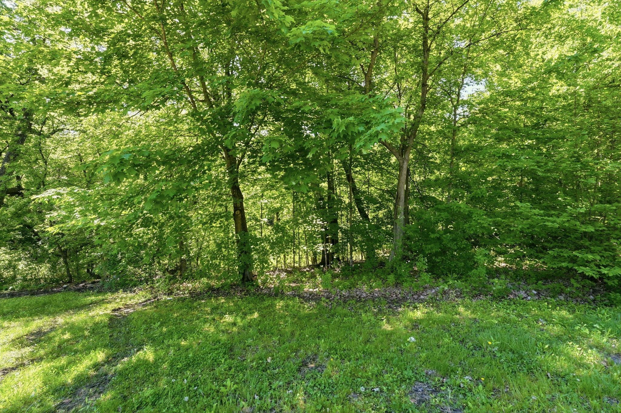6947 Highland Circle NW, Alexandria MN 56308 - Photo 10 of 19