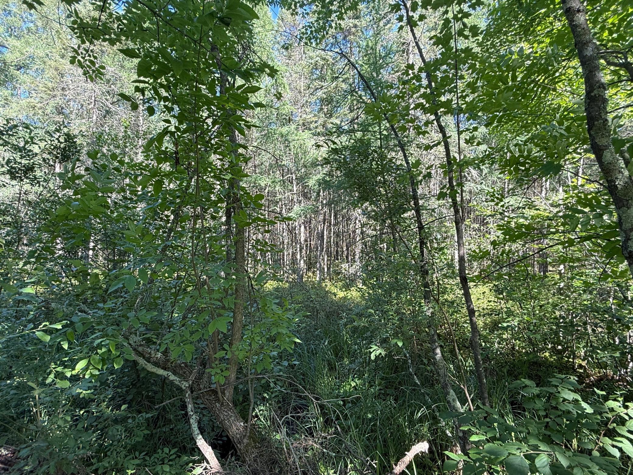 31032 280th Street, Aitkin MN 56431 - Photo 29 of 31