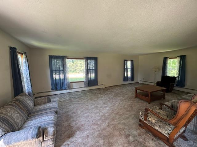 1228 US Highway 71 S, Sebeka MN 56477 - Photo 23 of 41