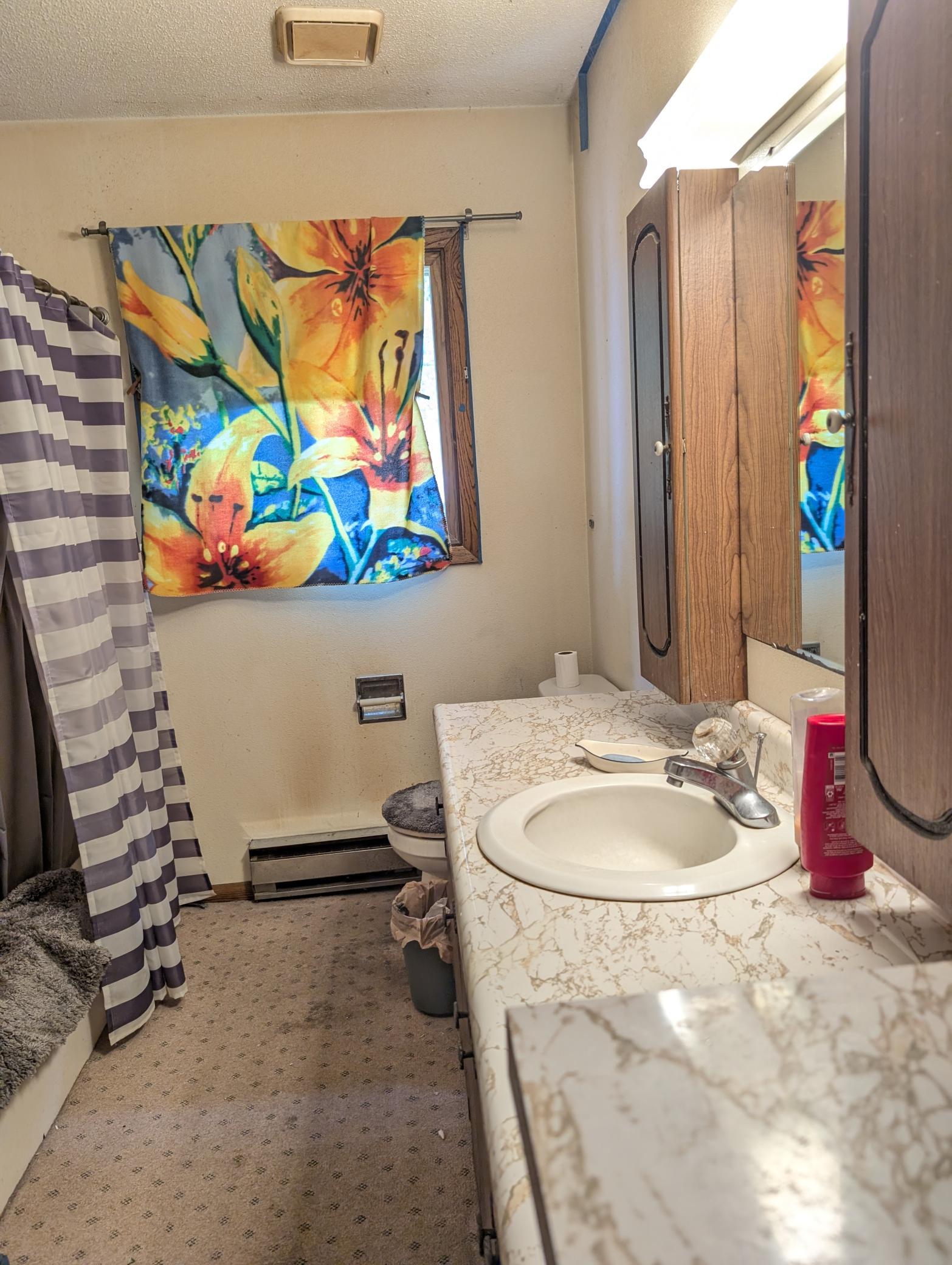 800 Central Avenue, Unit 1, Long Prairie MN 56347 - Photo 10 of 13
