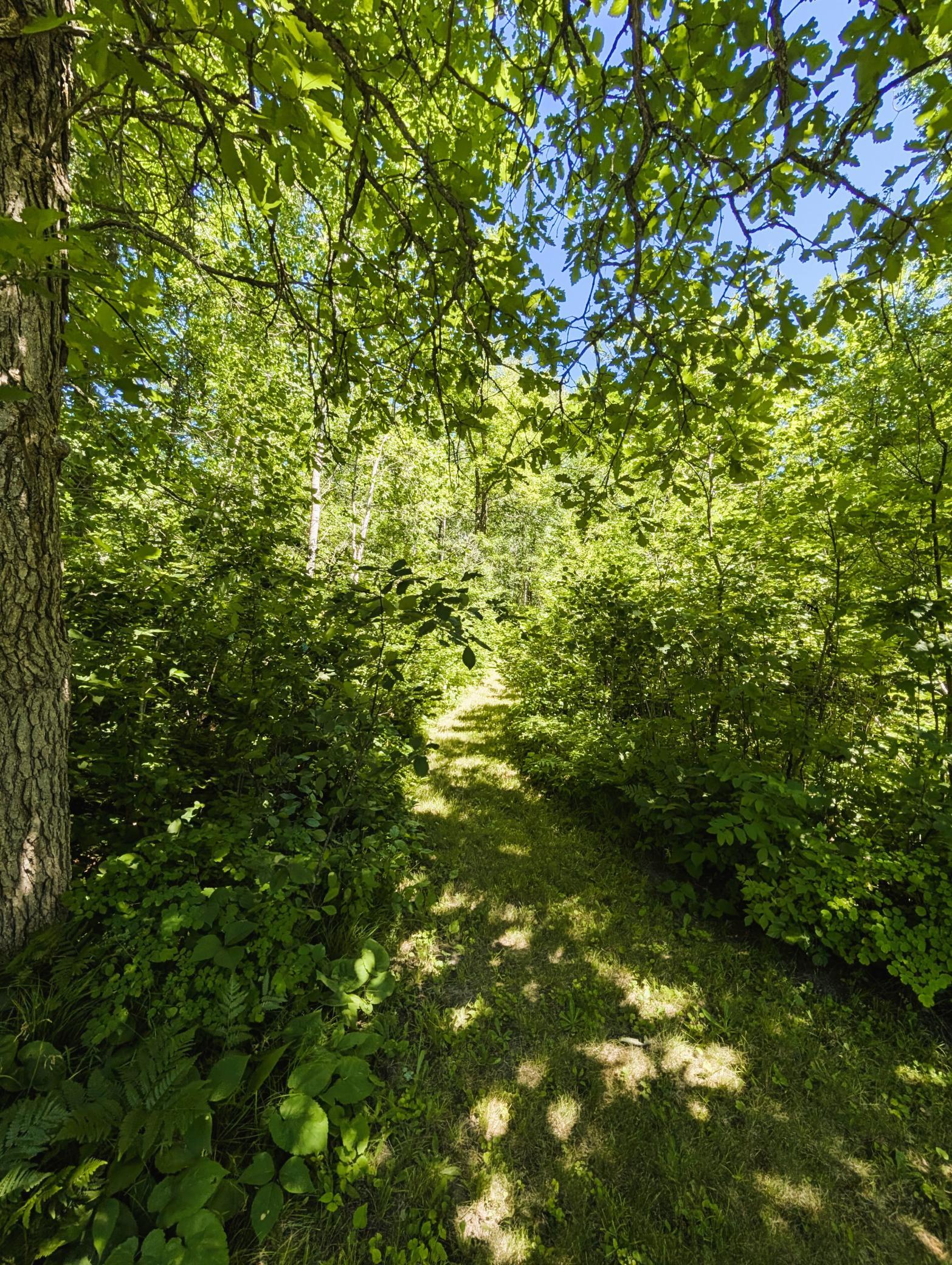 42683 County 3, Solway MN 56678 - Photo 34 of 36