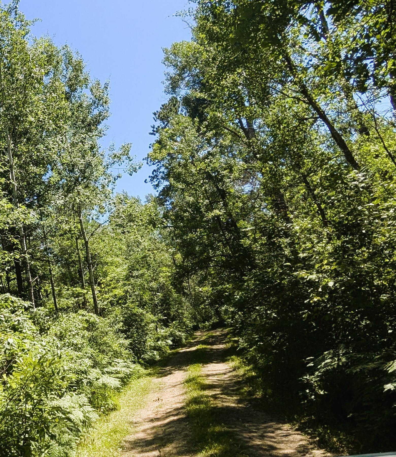 42683 County 3, Solway MN 56678 - Photo 35 of 36