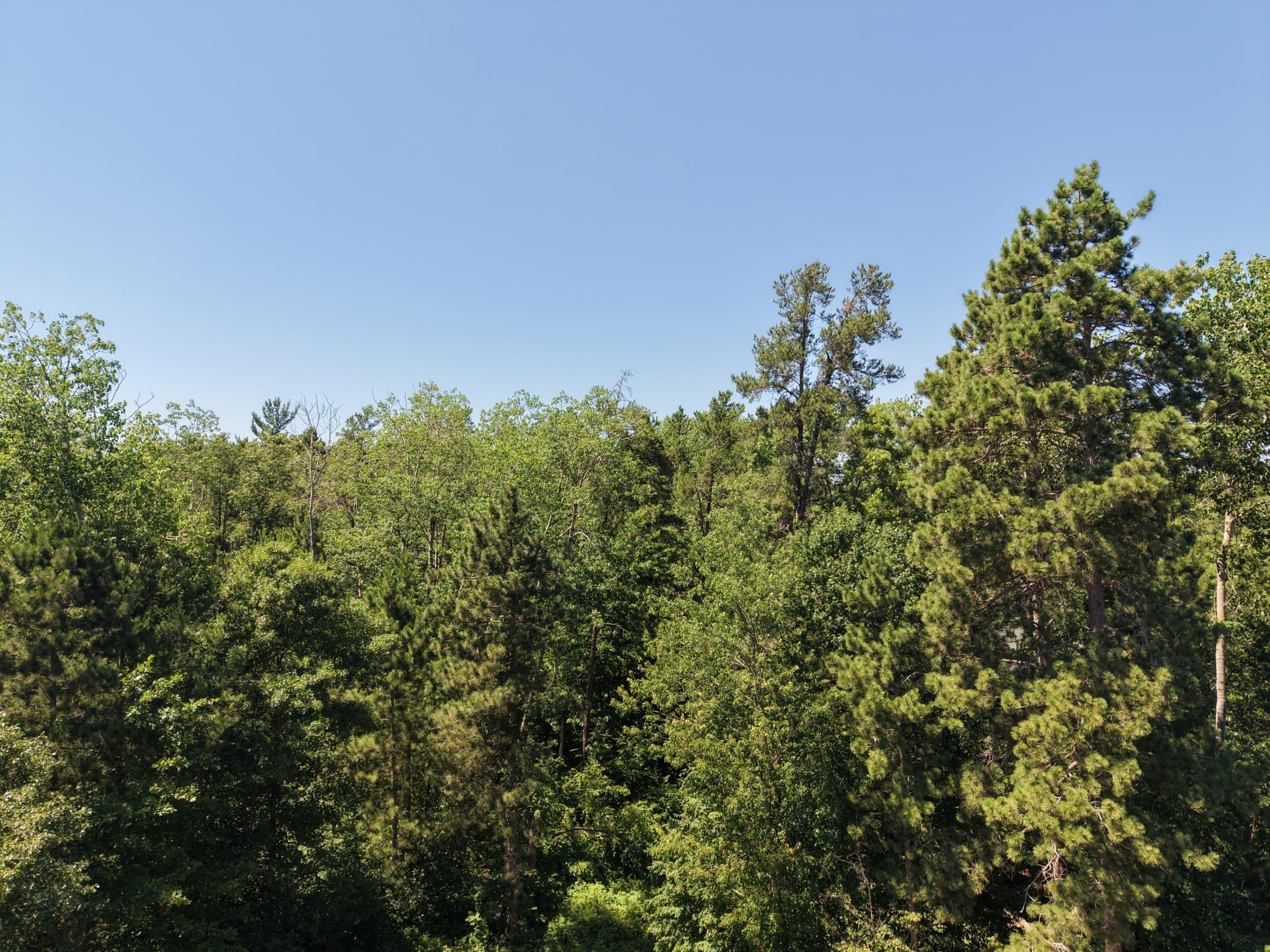 25871 Centennial Lane, Nisswa MN 56468 - Photo 41 of 52