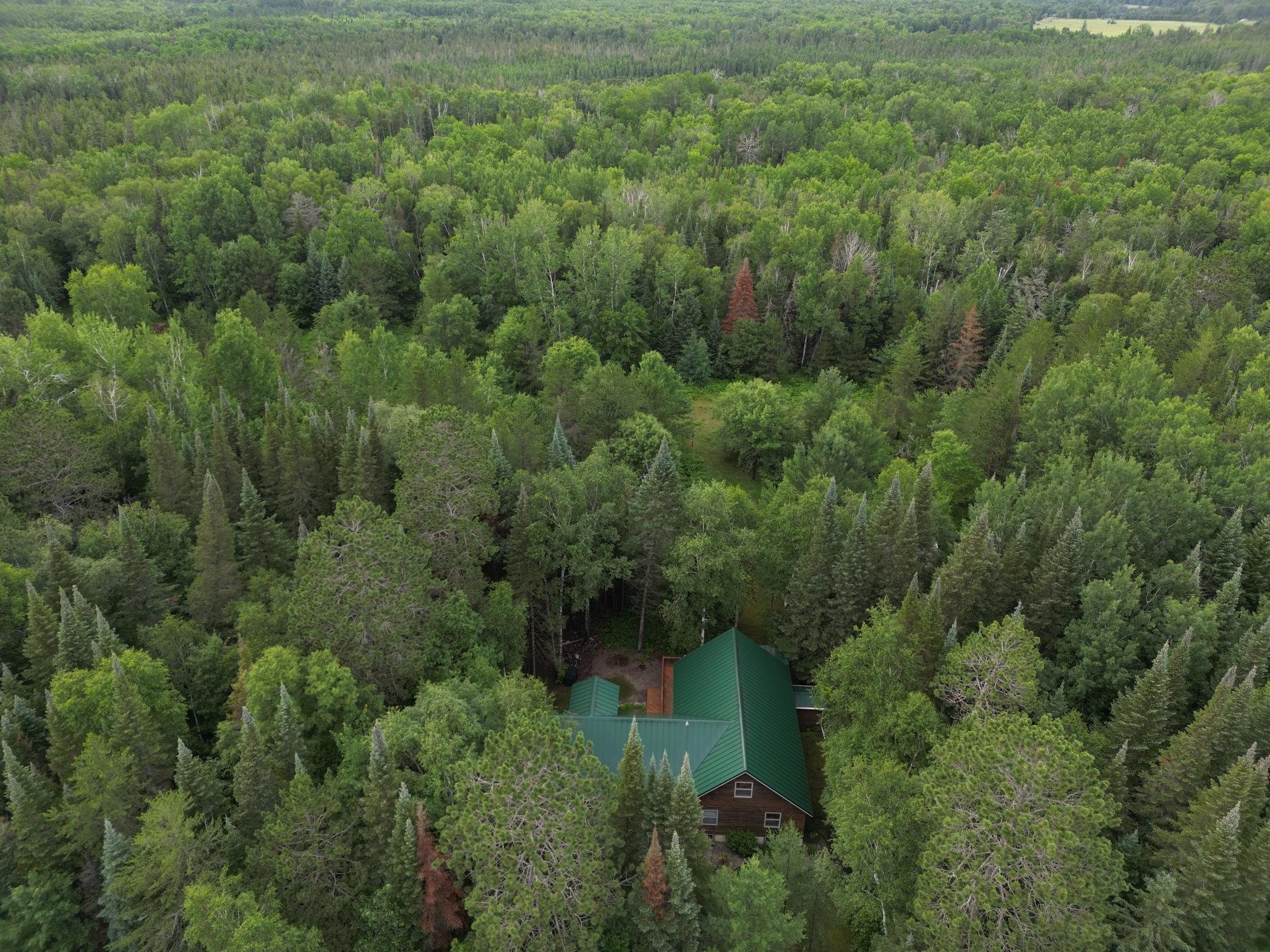 14085 Snapping Turtle Court NE, Bemidji MN 56601 - Photo 3 of 66