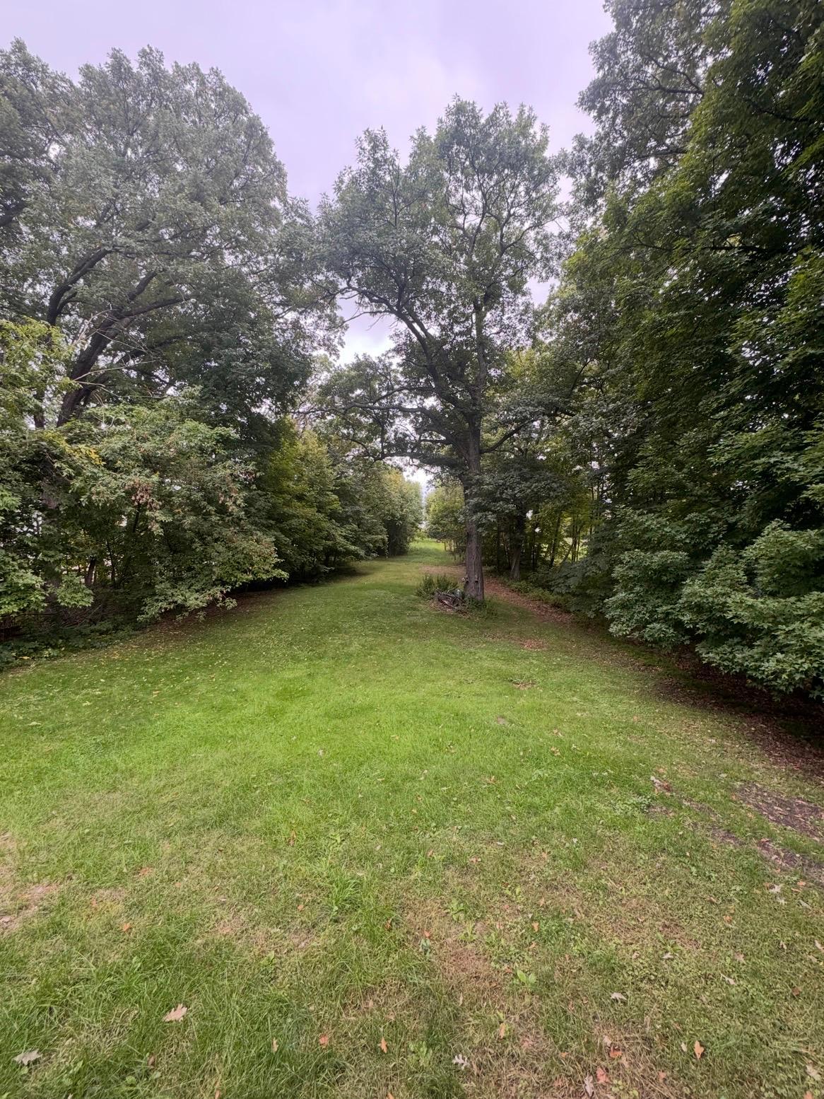 1981 single family home for sale at 8781 Dorothy Avenue in Brainerd, MN — 4 bed, 2 bath (photo 21 of 29)