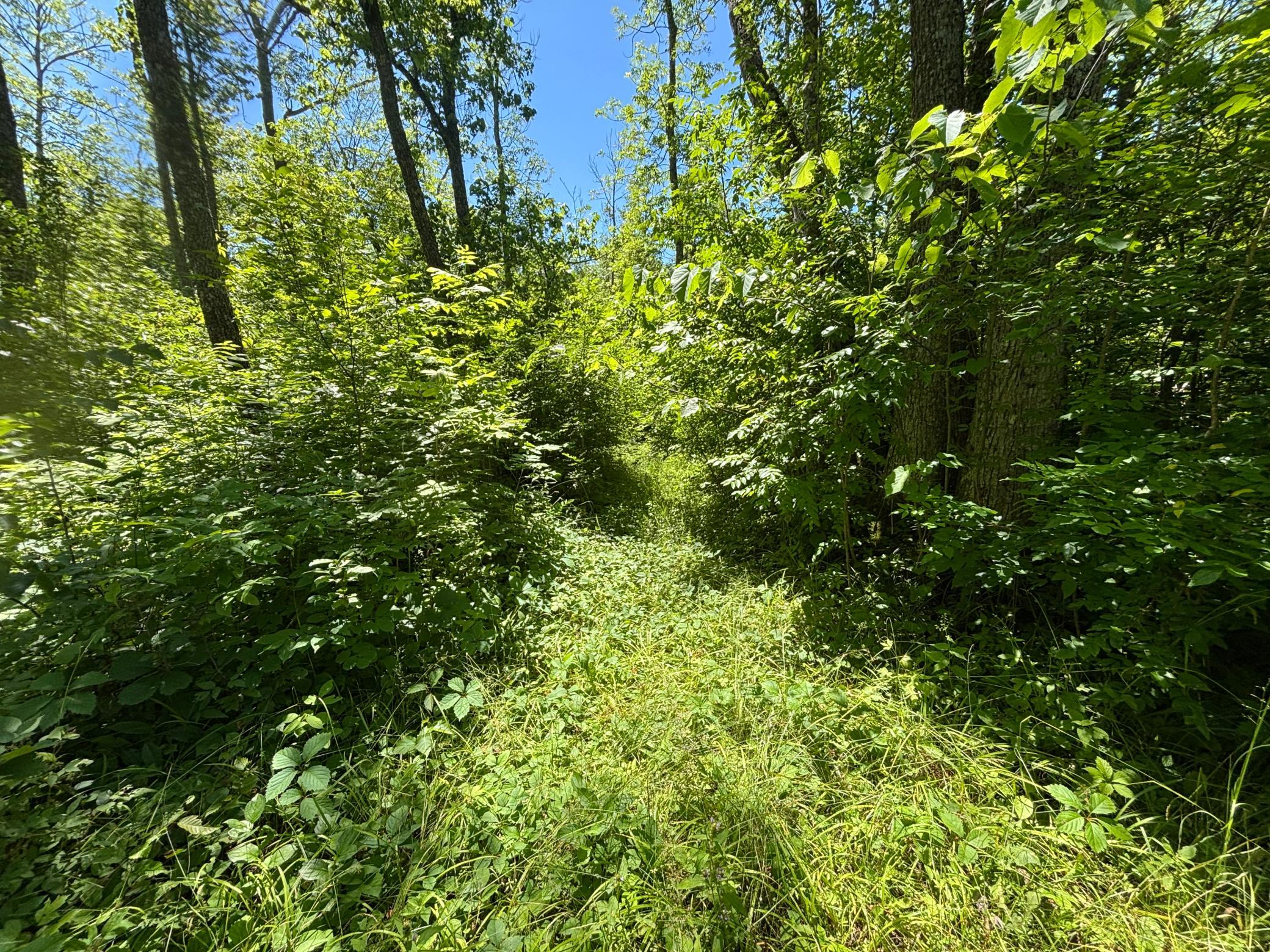 land for sale at 46212 US Highway 169 in Palisade, MN (photo 15 of 19)