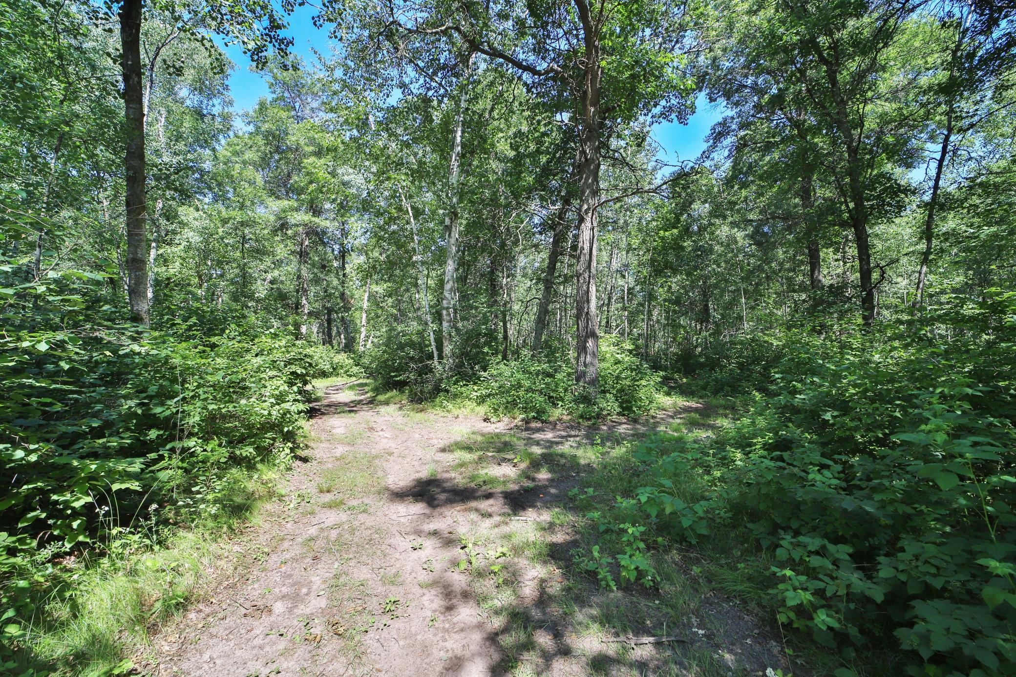 1040 Big Bear Trail SW, Brainerd MN 56401 - Photo 56 of 59