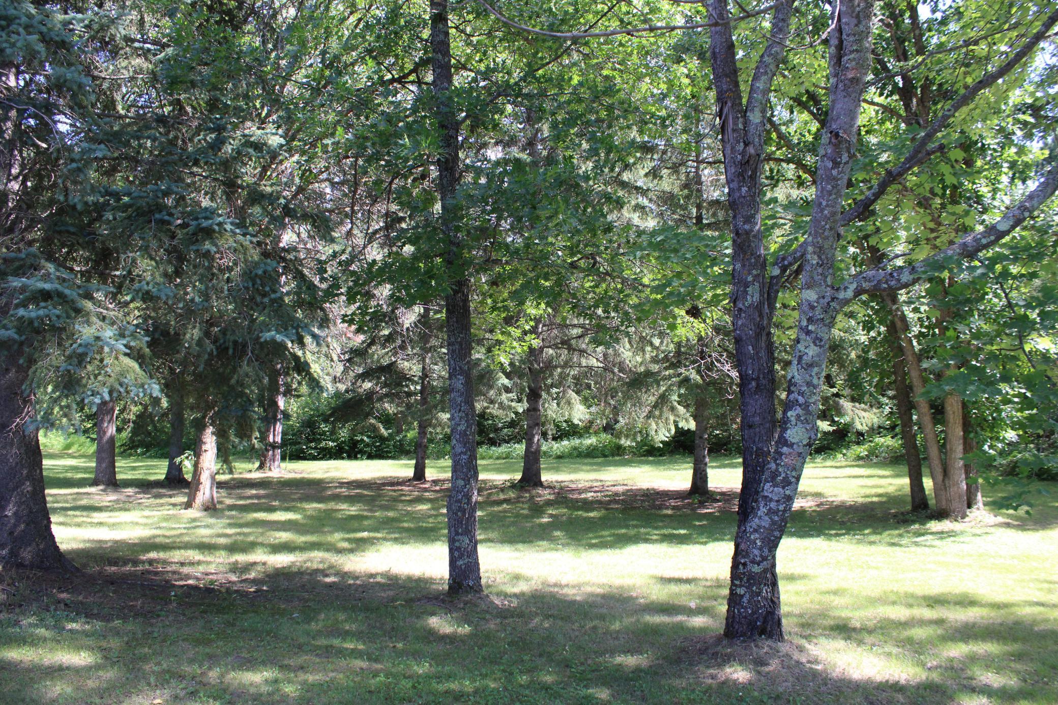 50768 279th Avenue, Bemidji MN 56601 - Photo 33 of 39