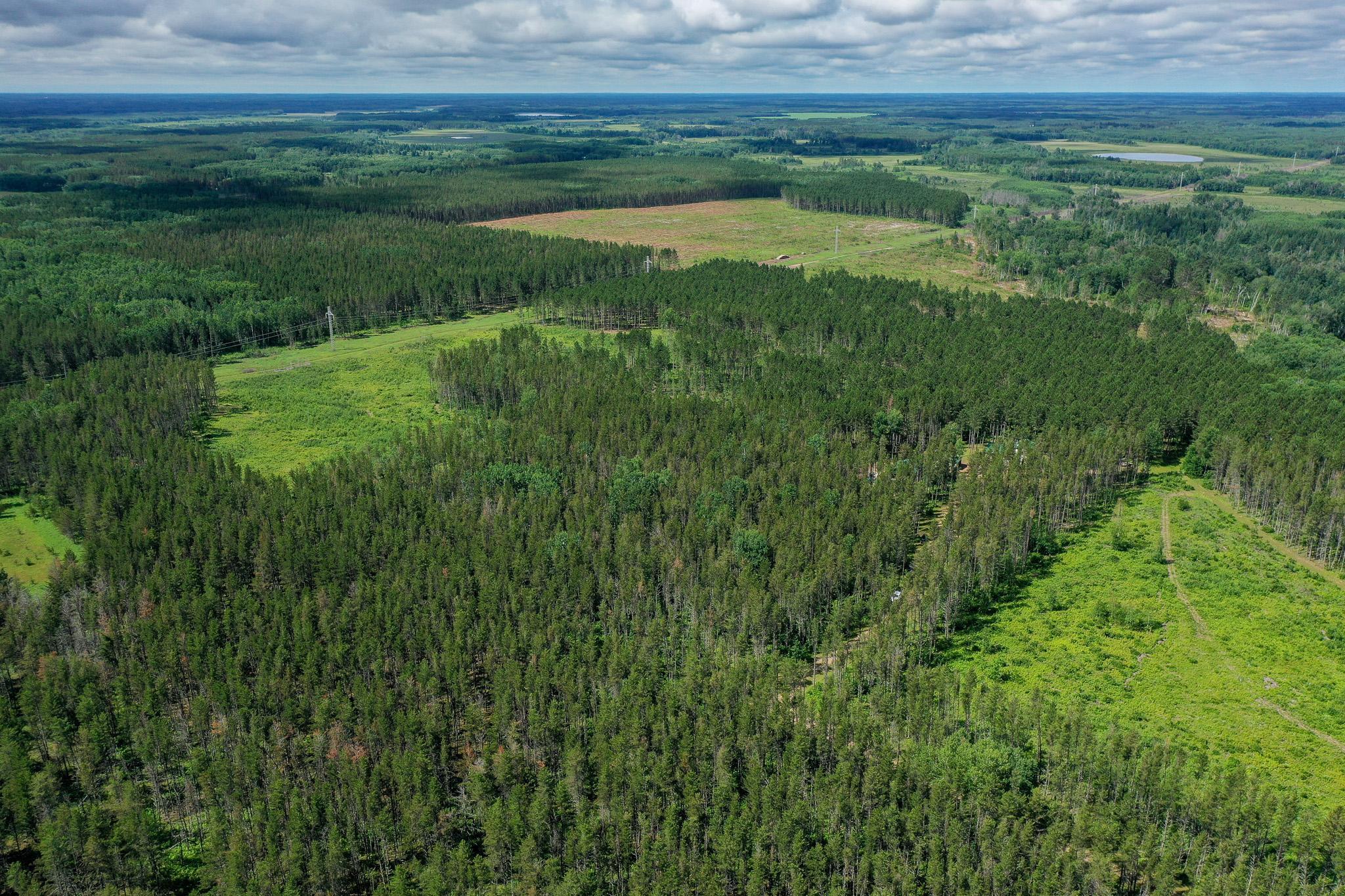 28391 County 109, Menahga MN 56464 - Photo 59 of 82