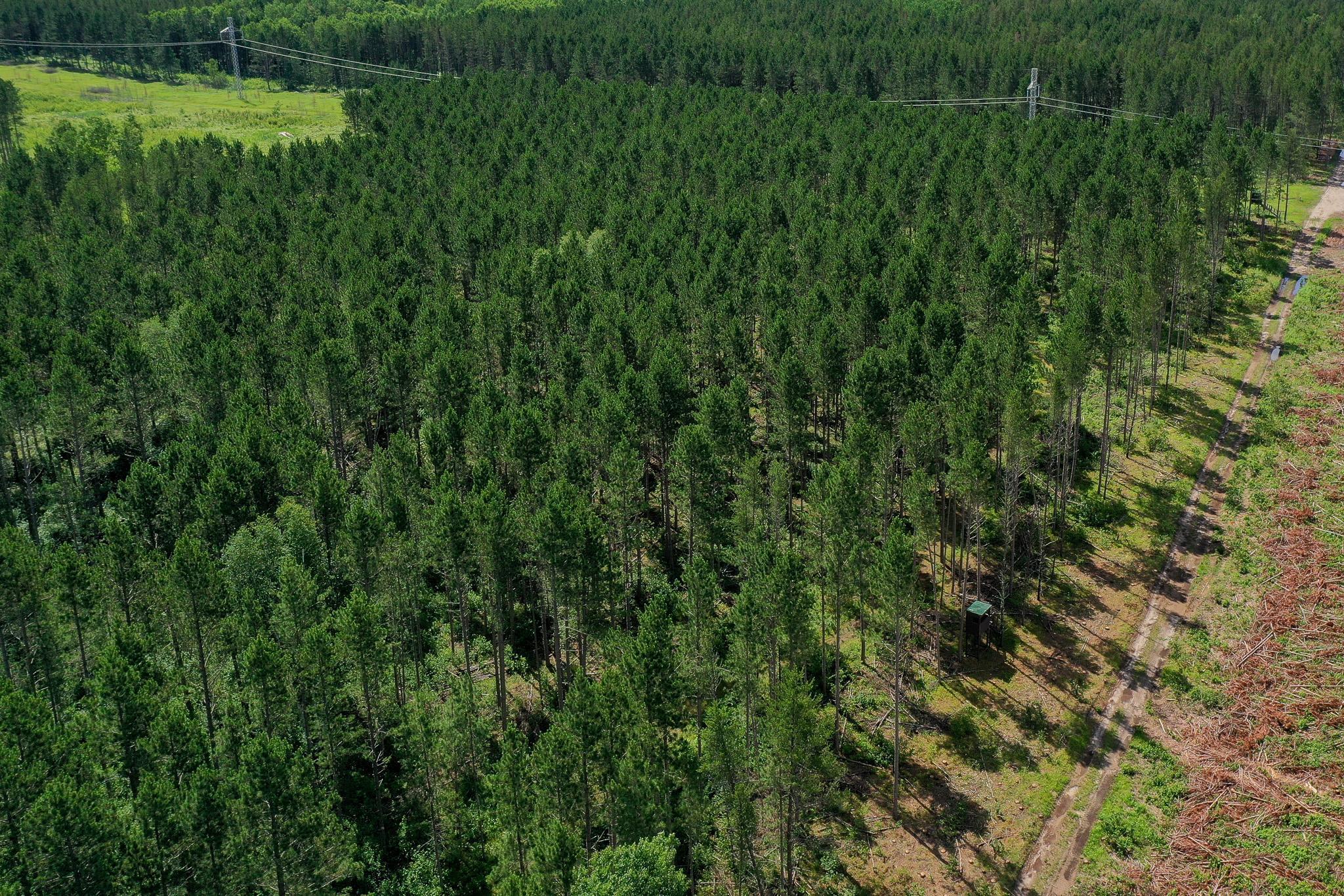 28391 County 109, Menahga MN 56464 - Photo 60 of 82