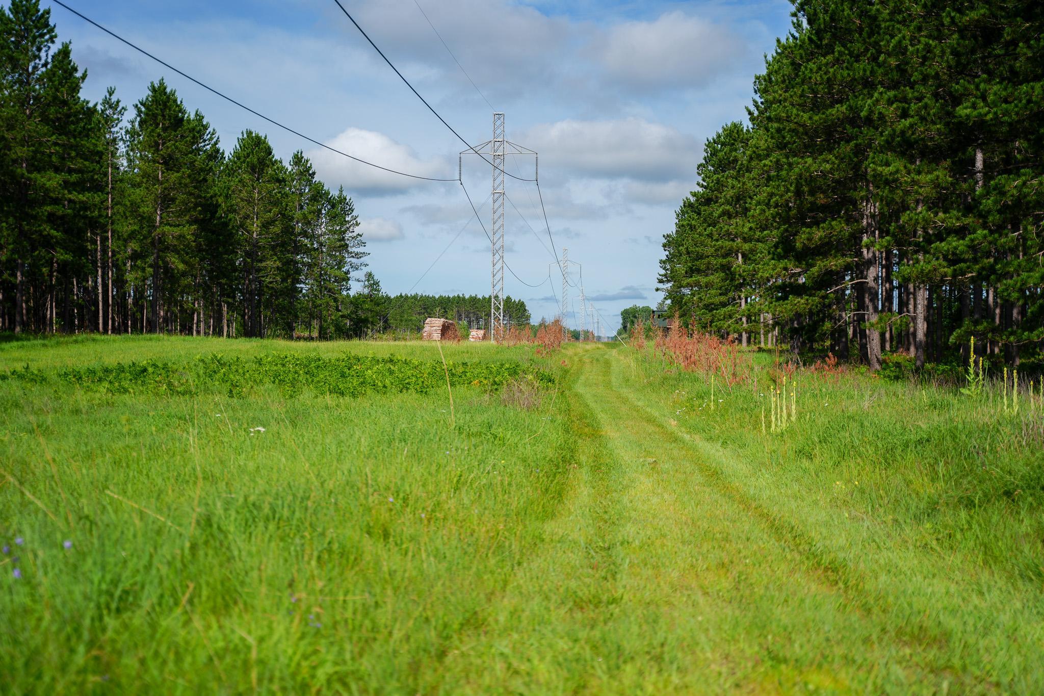 28391 County 109, Menahga MN 56464 - Photo 65 of 82