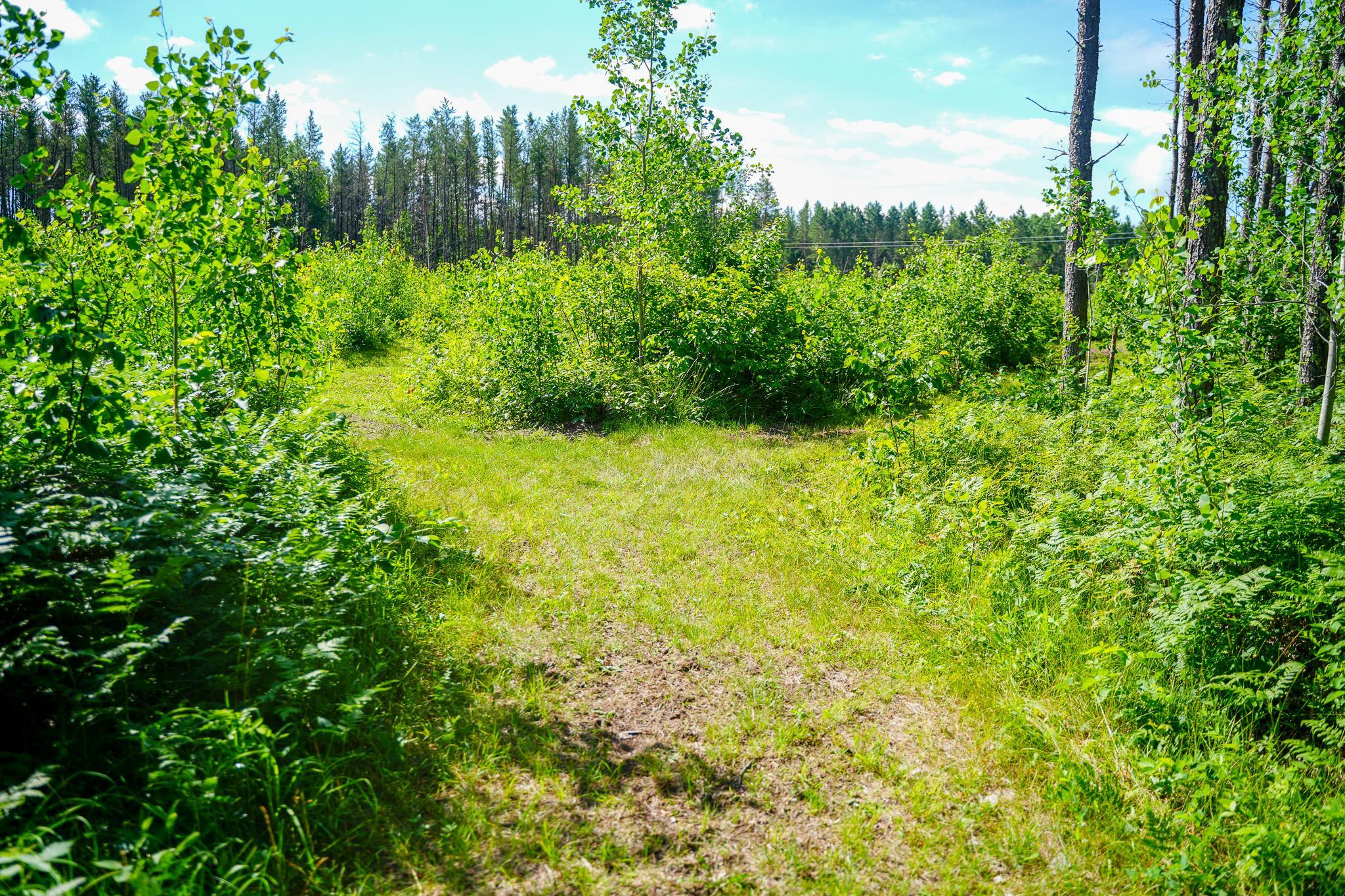 28391 County 109, Menahga MN 56464 - Photo 66 of 82