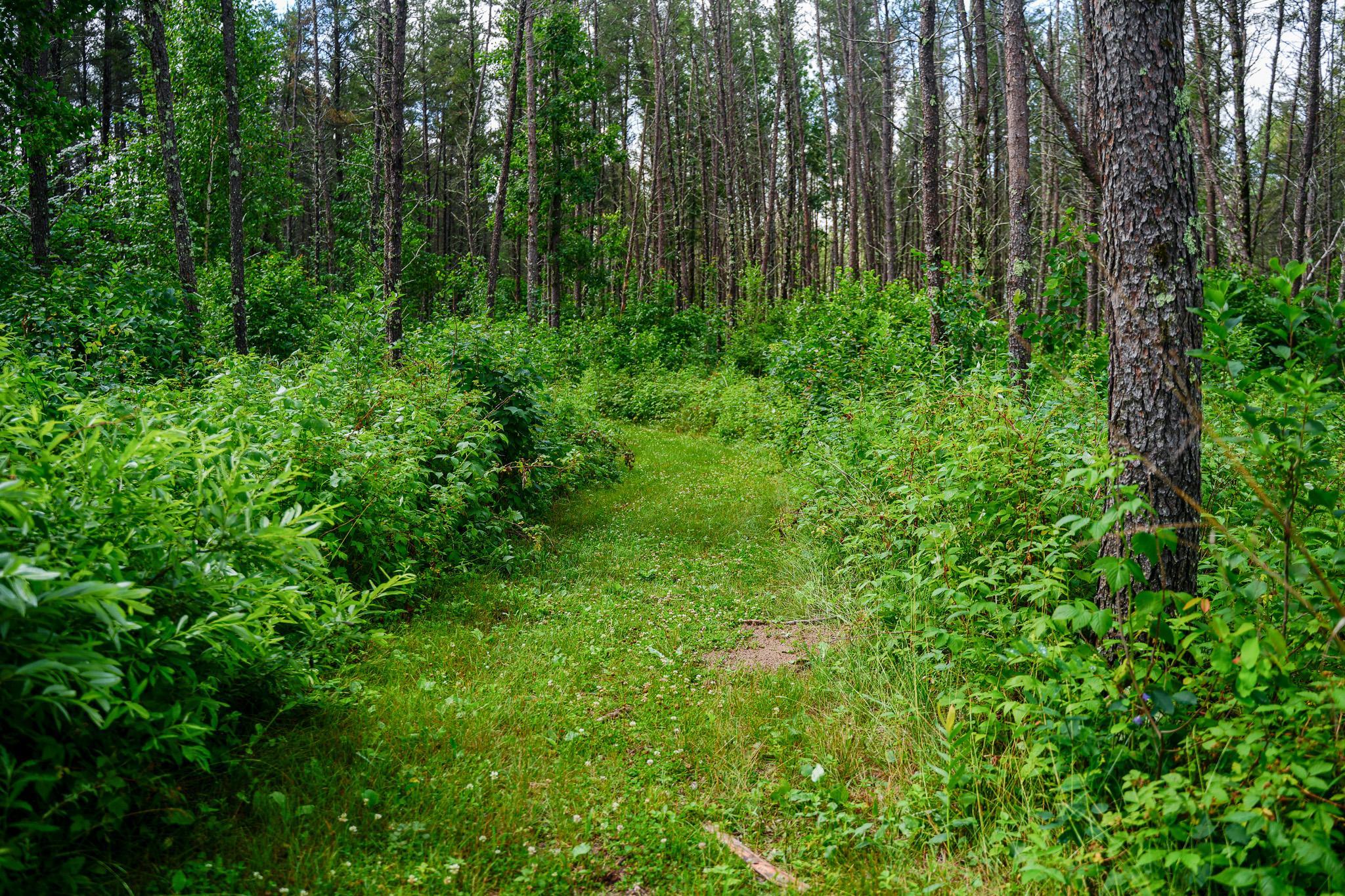 28391 County 109, Menahga MN 56464 - Photo 68 of 82