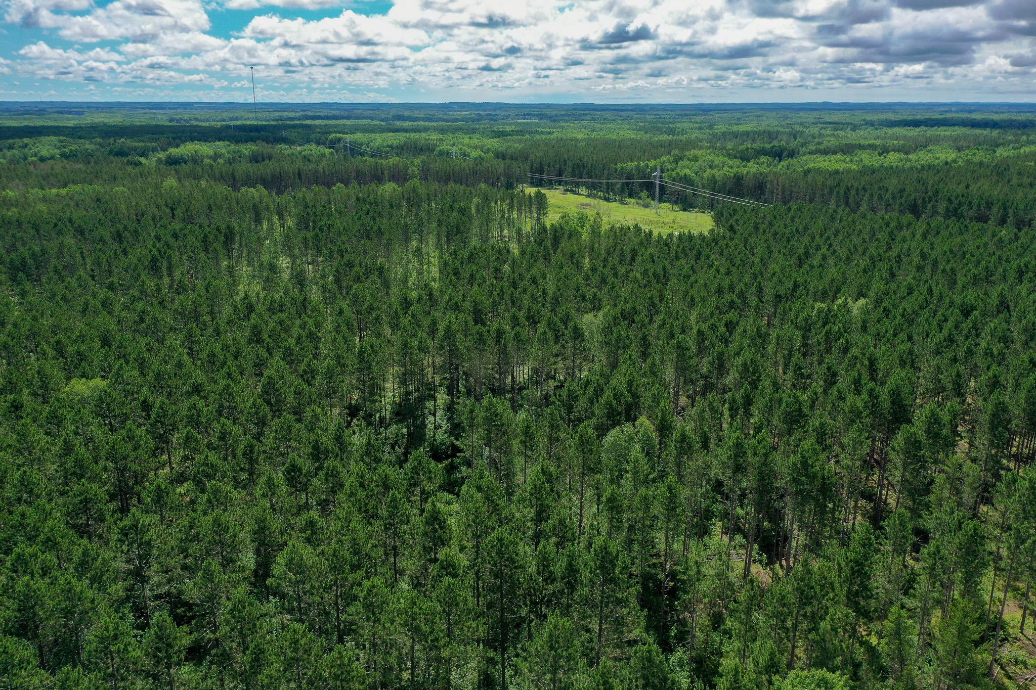 28391 County 109, Menahga MN 56464 - Photo 71 of 82