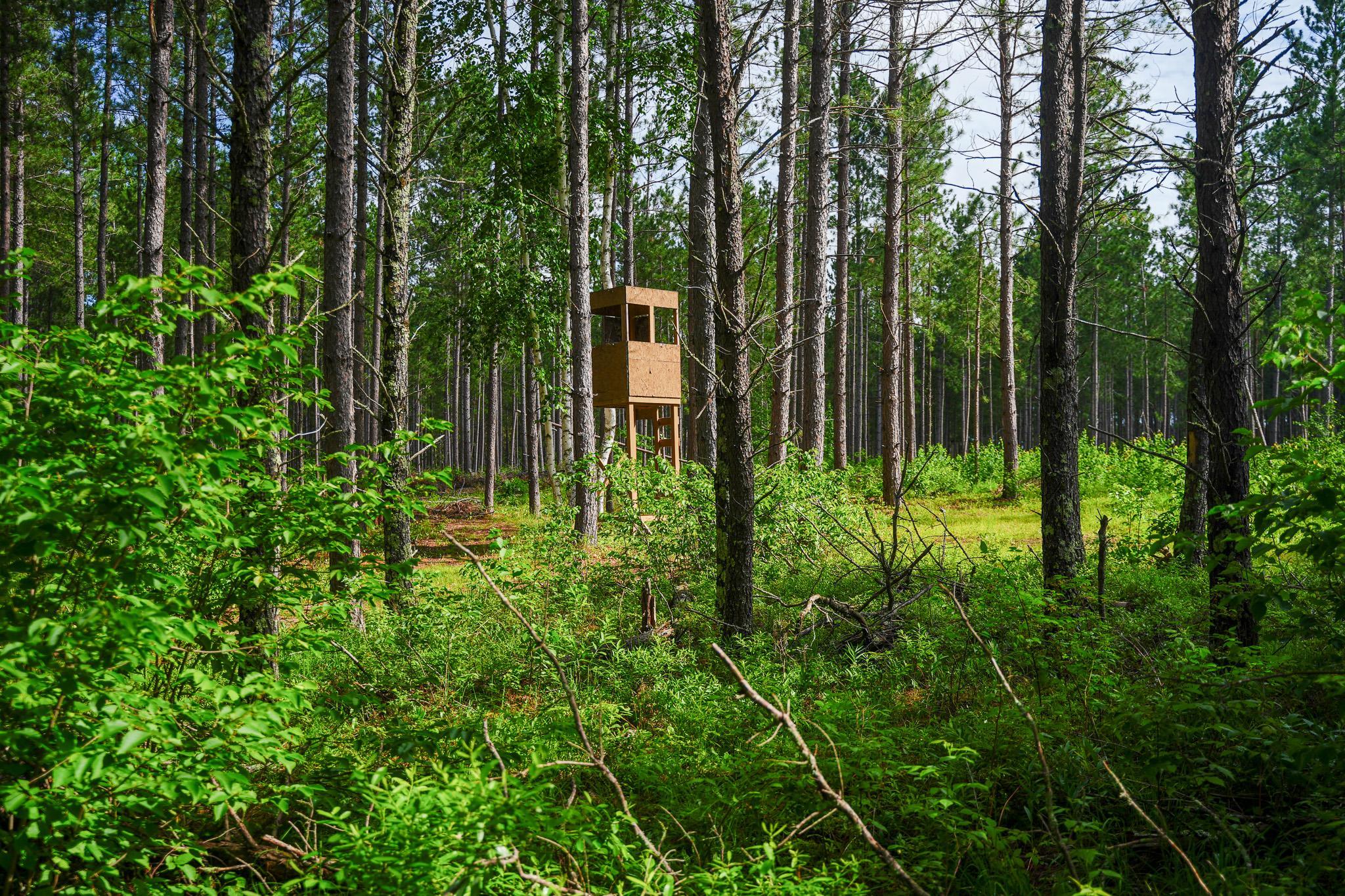 28391 County 109, Menahga MN 56464 - Photo 79 of 82
