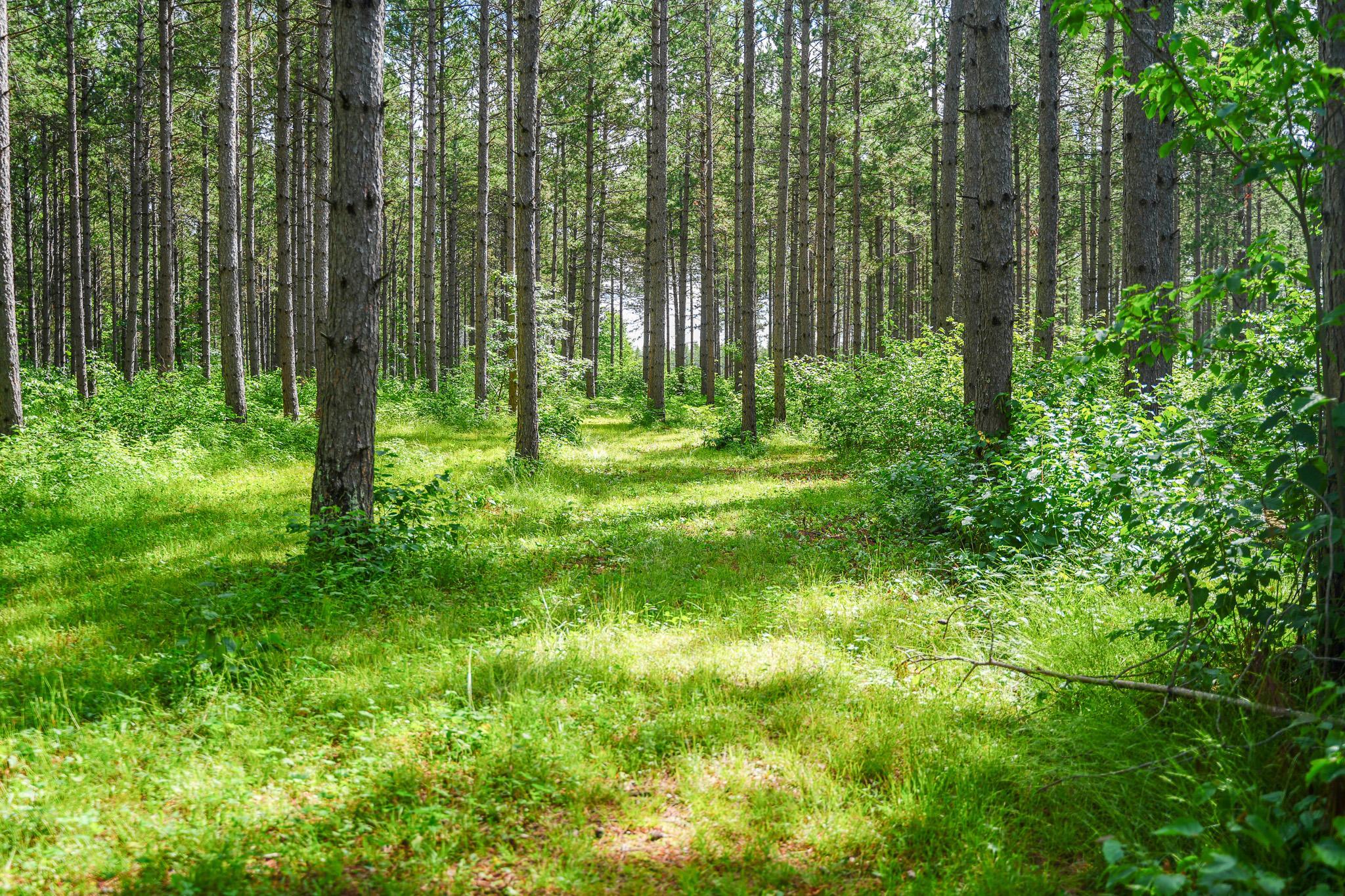 28391 County 109, Menahga MN 56464 - Photo 81 of 82